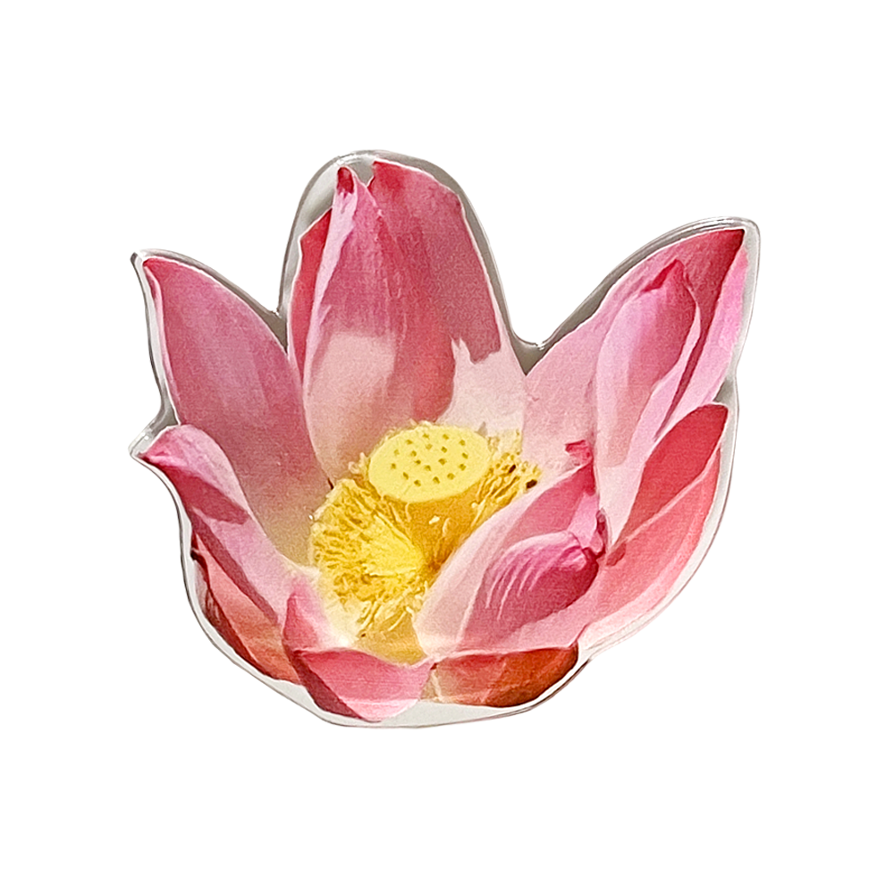 Lotus Tok