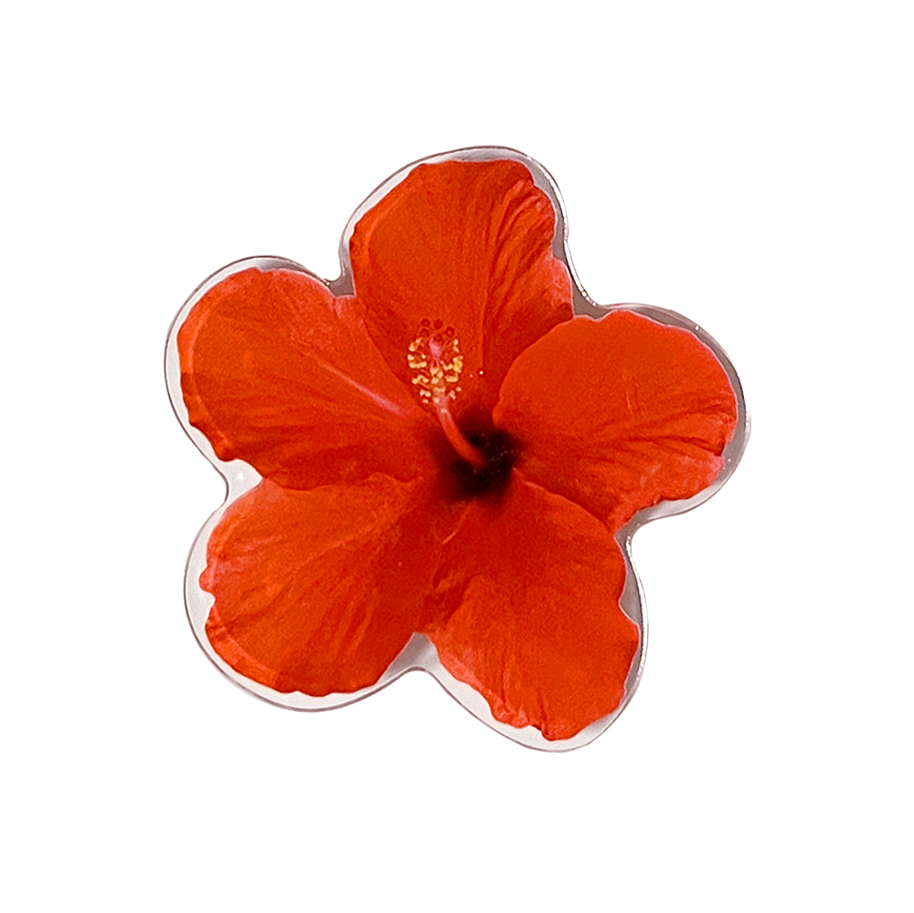Hibiscus Tok