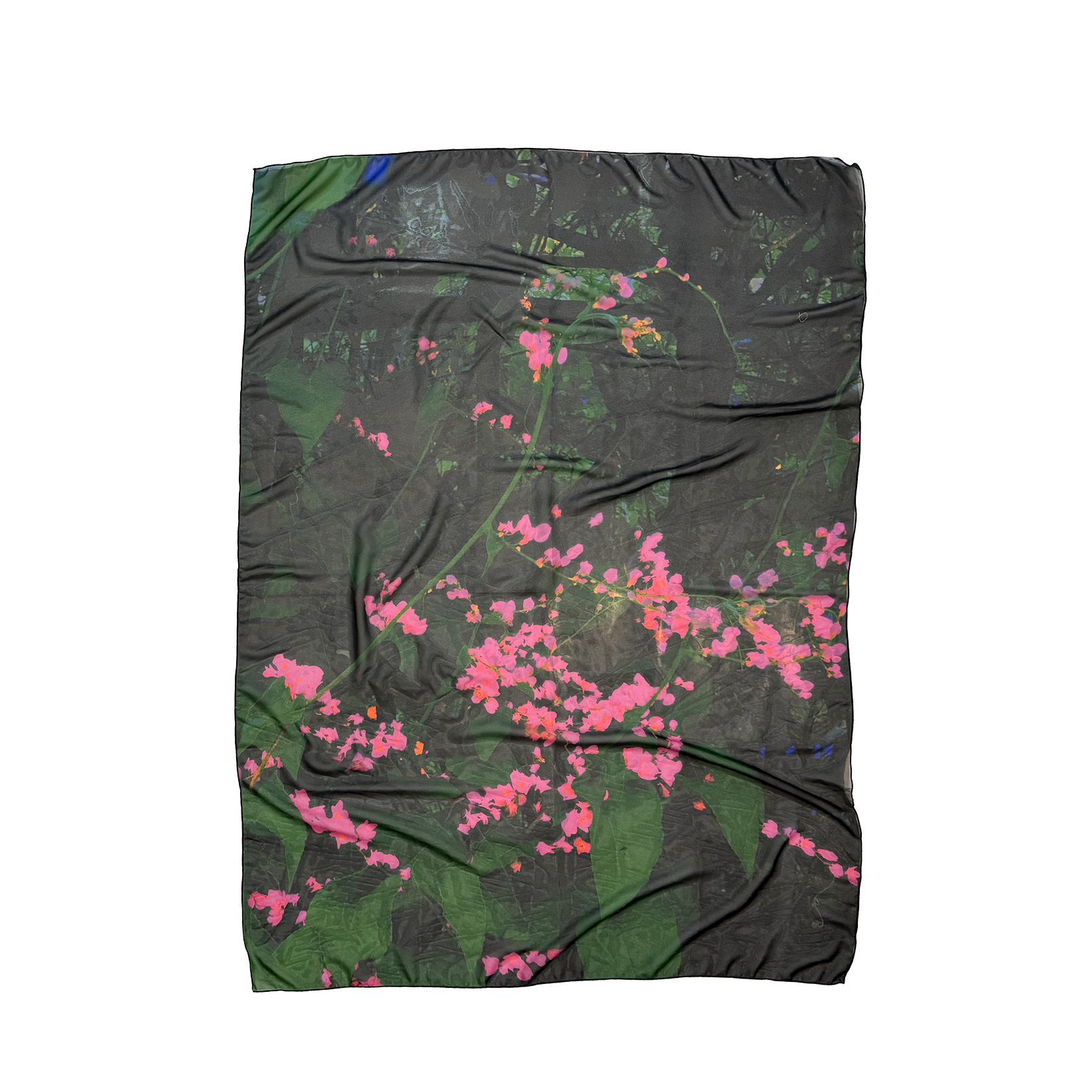 Coral Vine