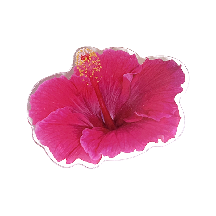 Pink Hibiscus Tok