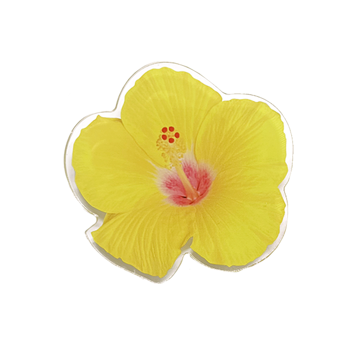 Yellow Hibiscus Tok
