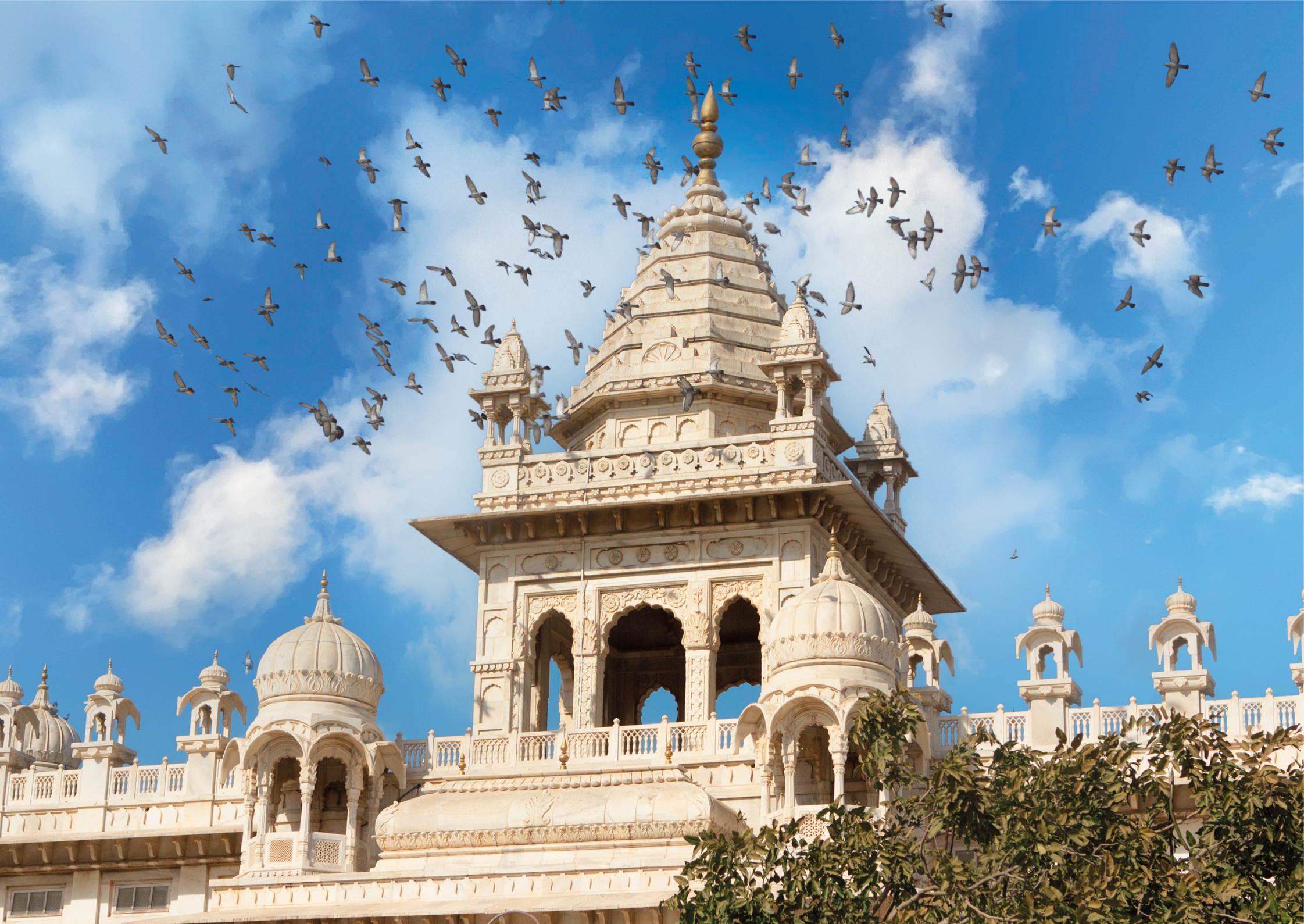 India Jodhpur