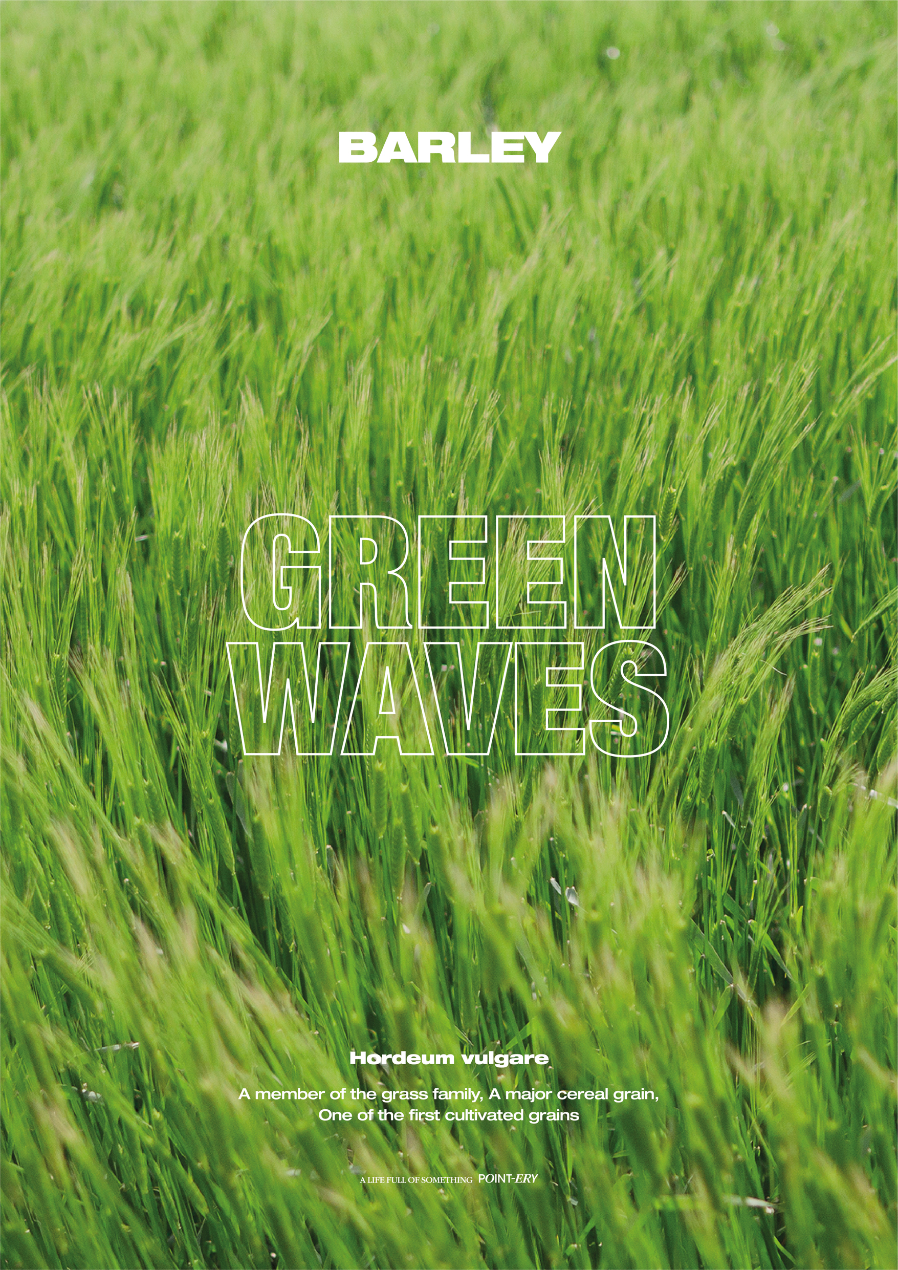 Green Waves