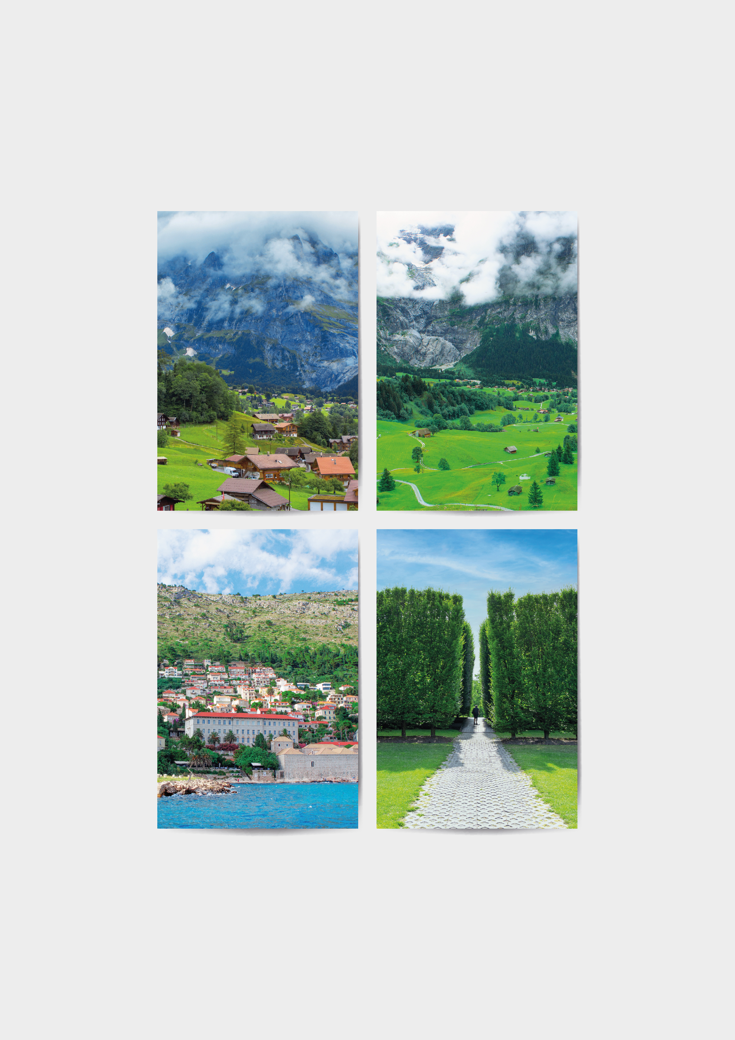 Photography Card - Green
