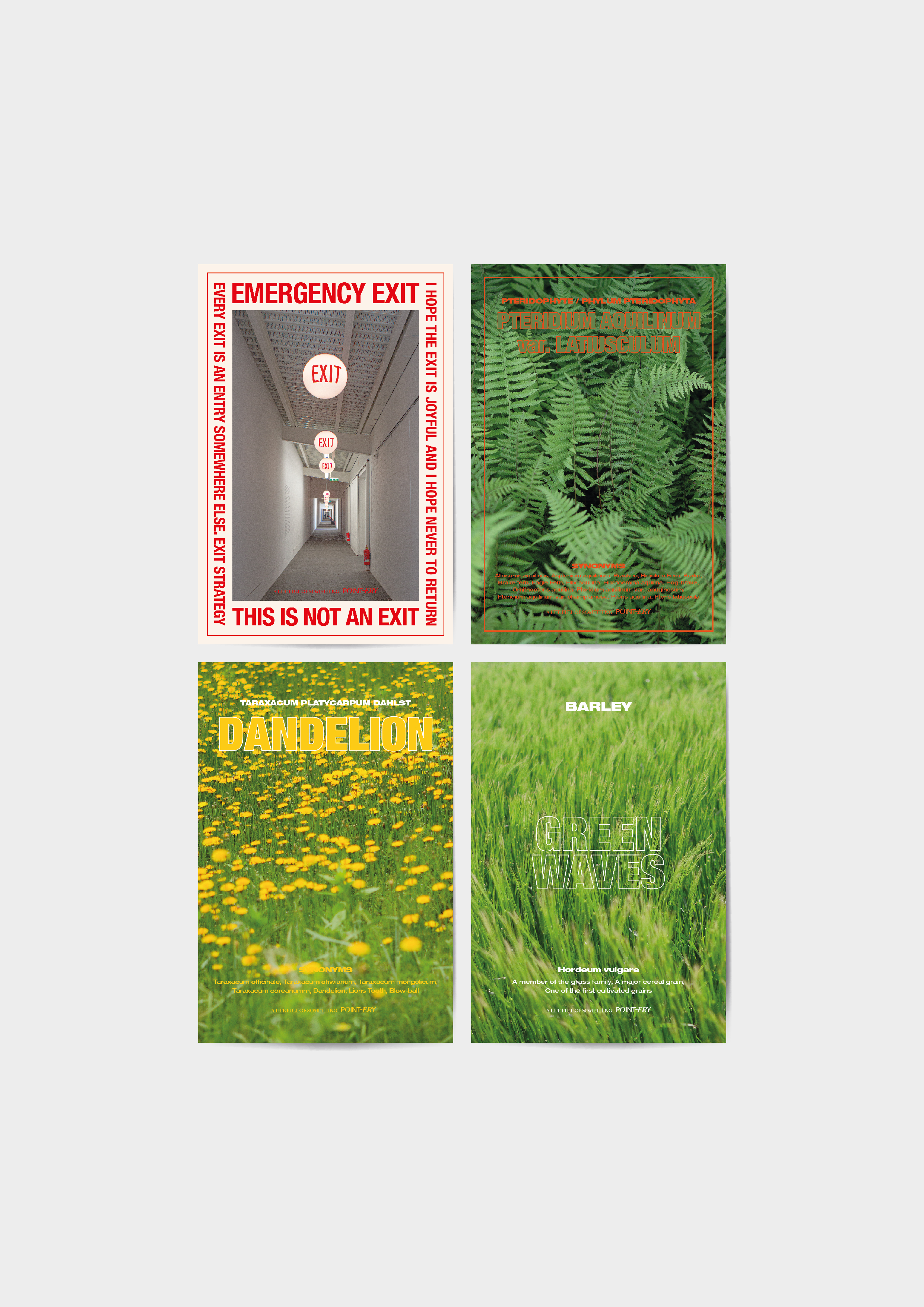 Graphic&Photography Card