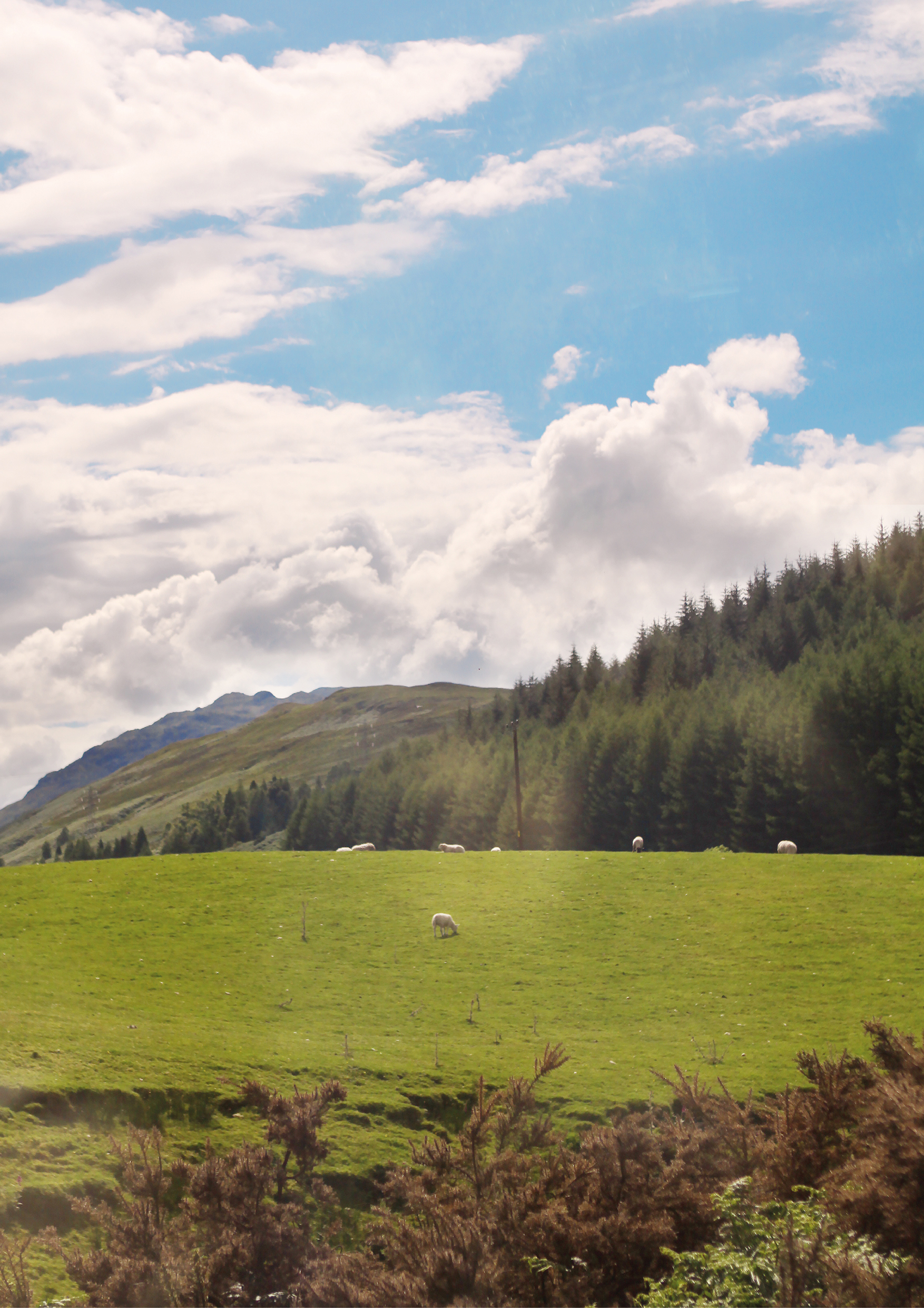 Highland