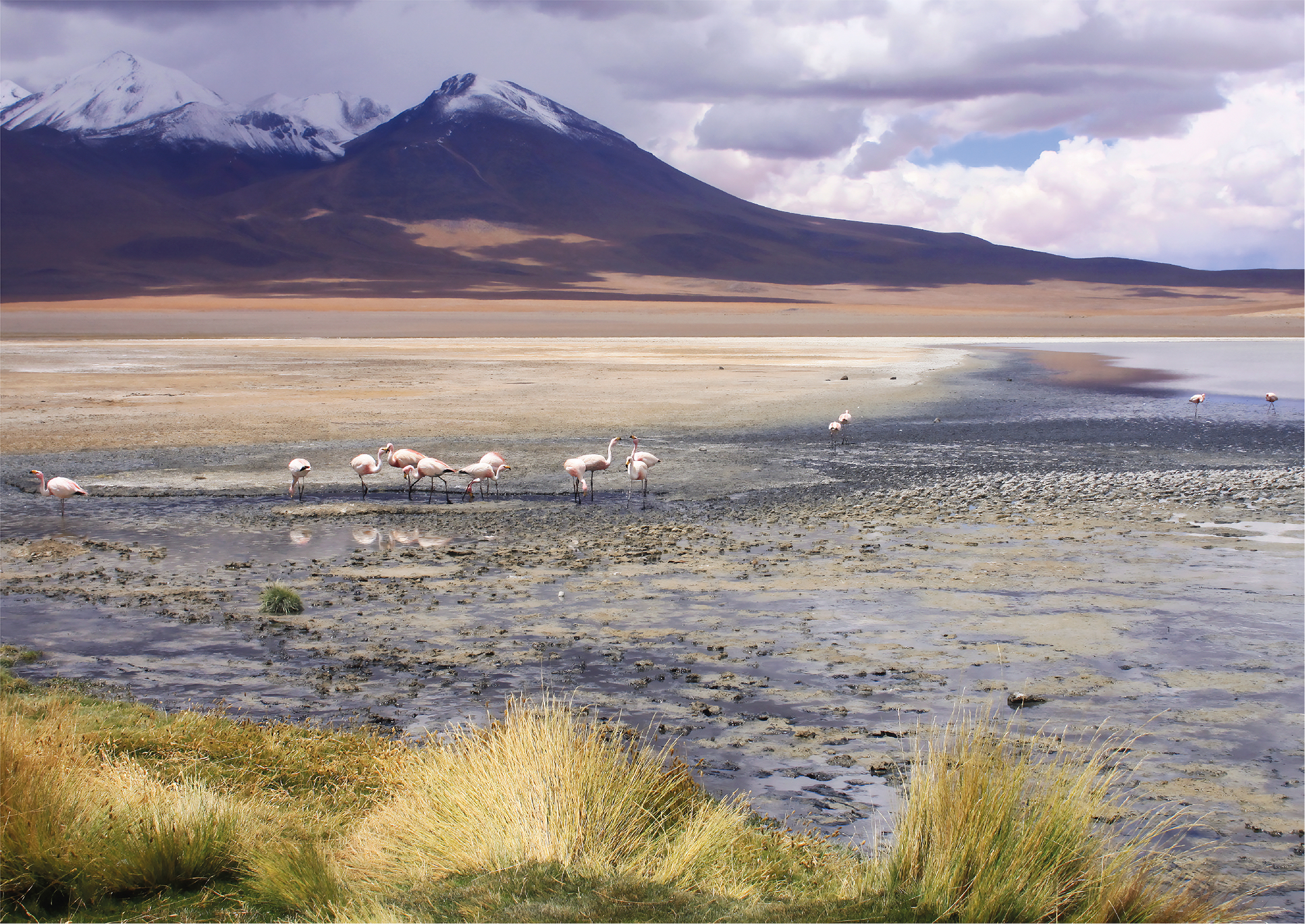 Laguna Colorada