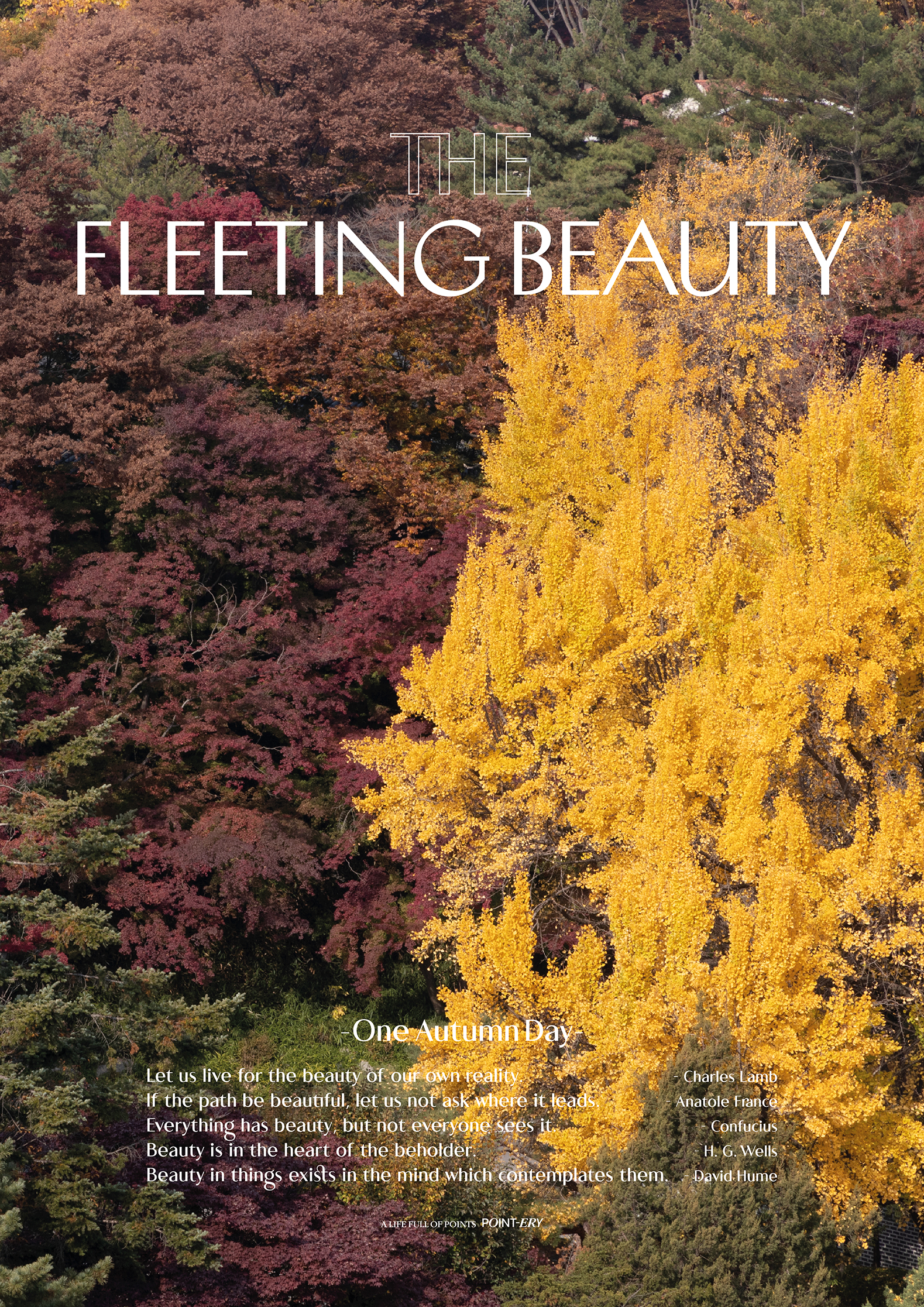 Fleeting Beauty