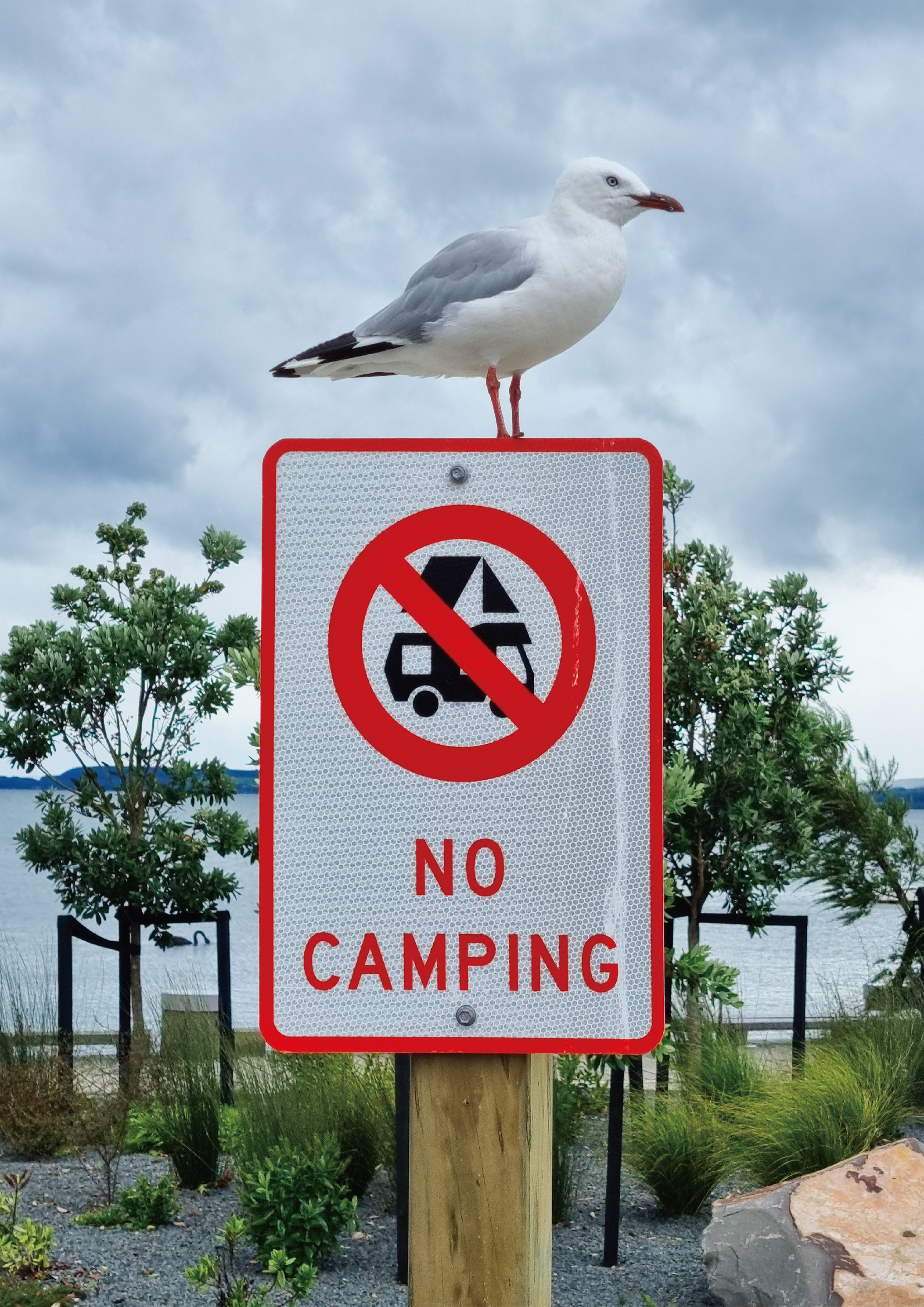 No Camping