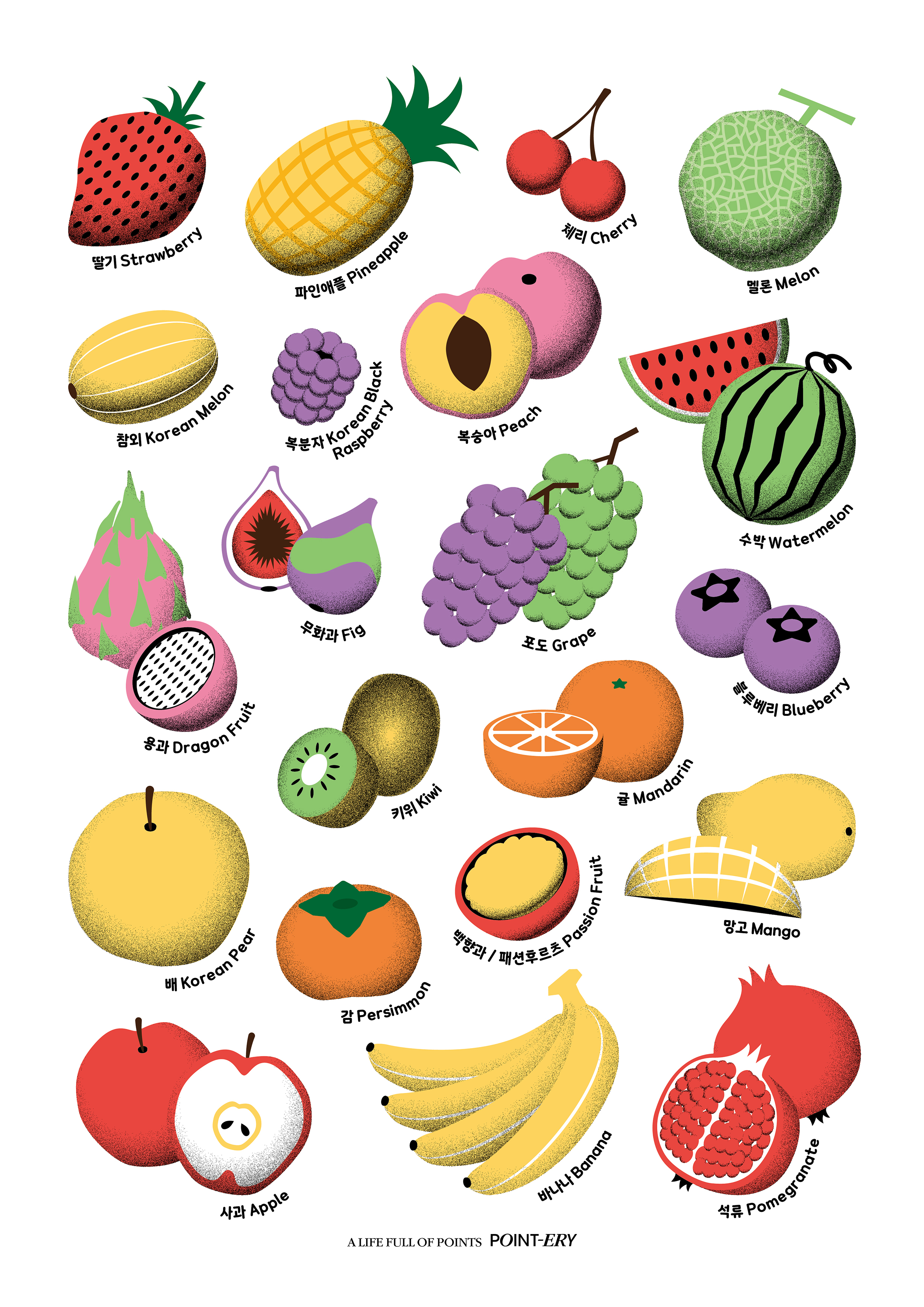 Fruit