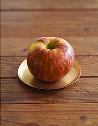 포그린넨 브라스 플레이트 라운드 (M) Brass Plate Round(M)