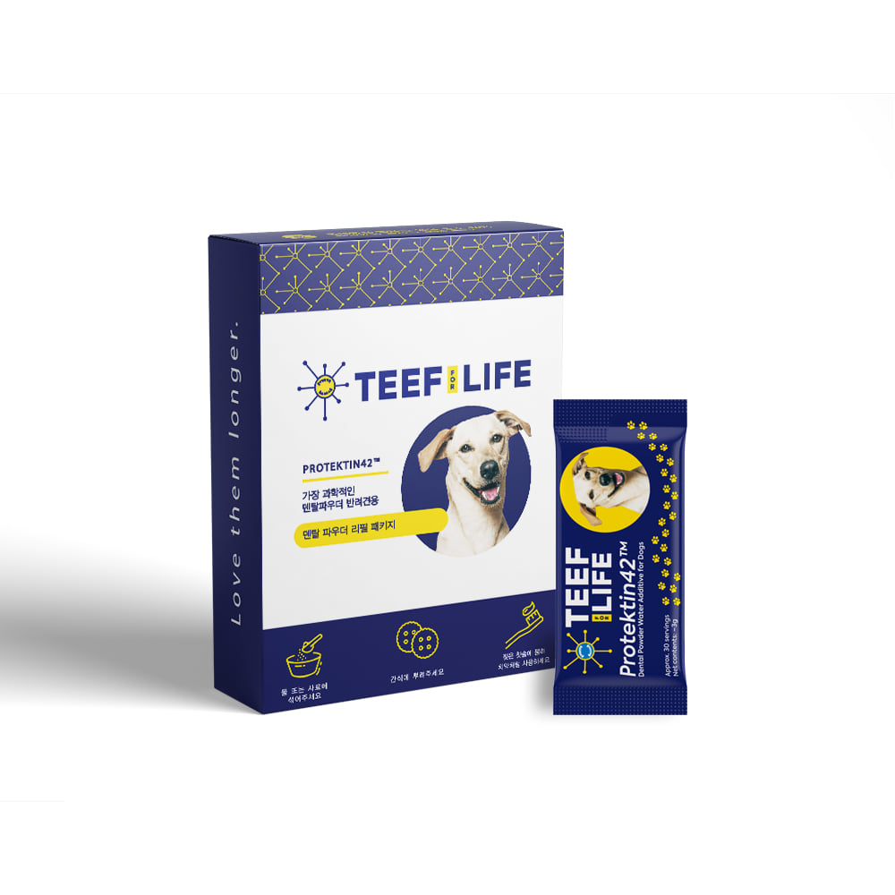 티프 포 라이프 프로텍틴42 for dog (반려견용) 리필팩