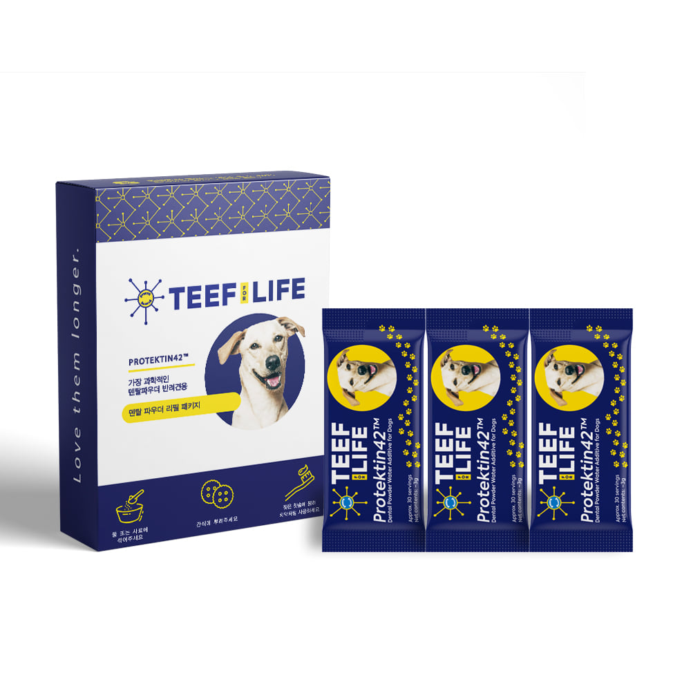 티프 포 라이프 프로텍틴42 for dog (반려견용) 리필팩