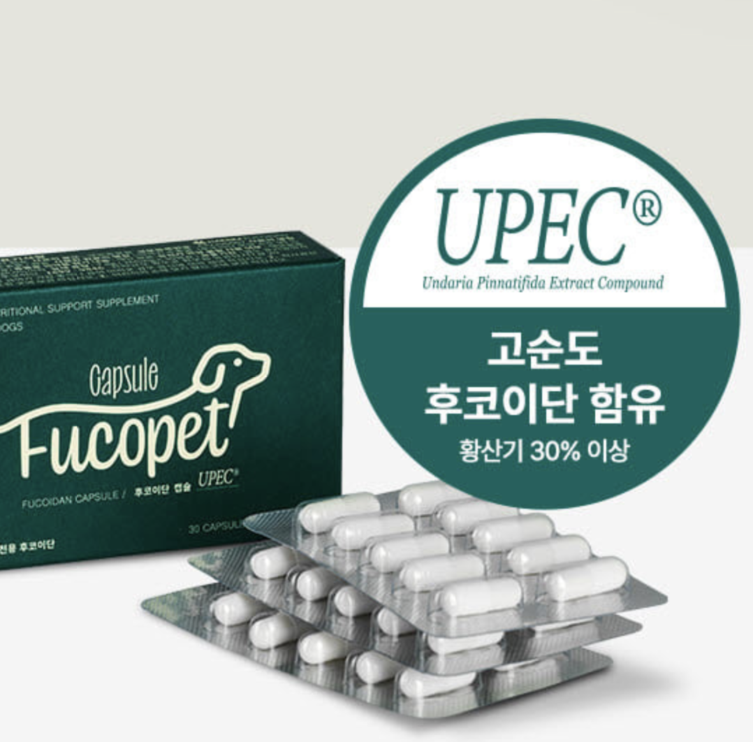 후코펫 후코이단 캡슐 블리스터 30정