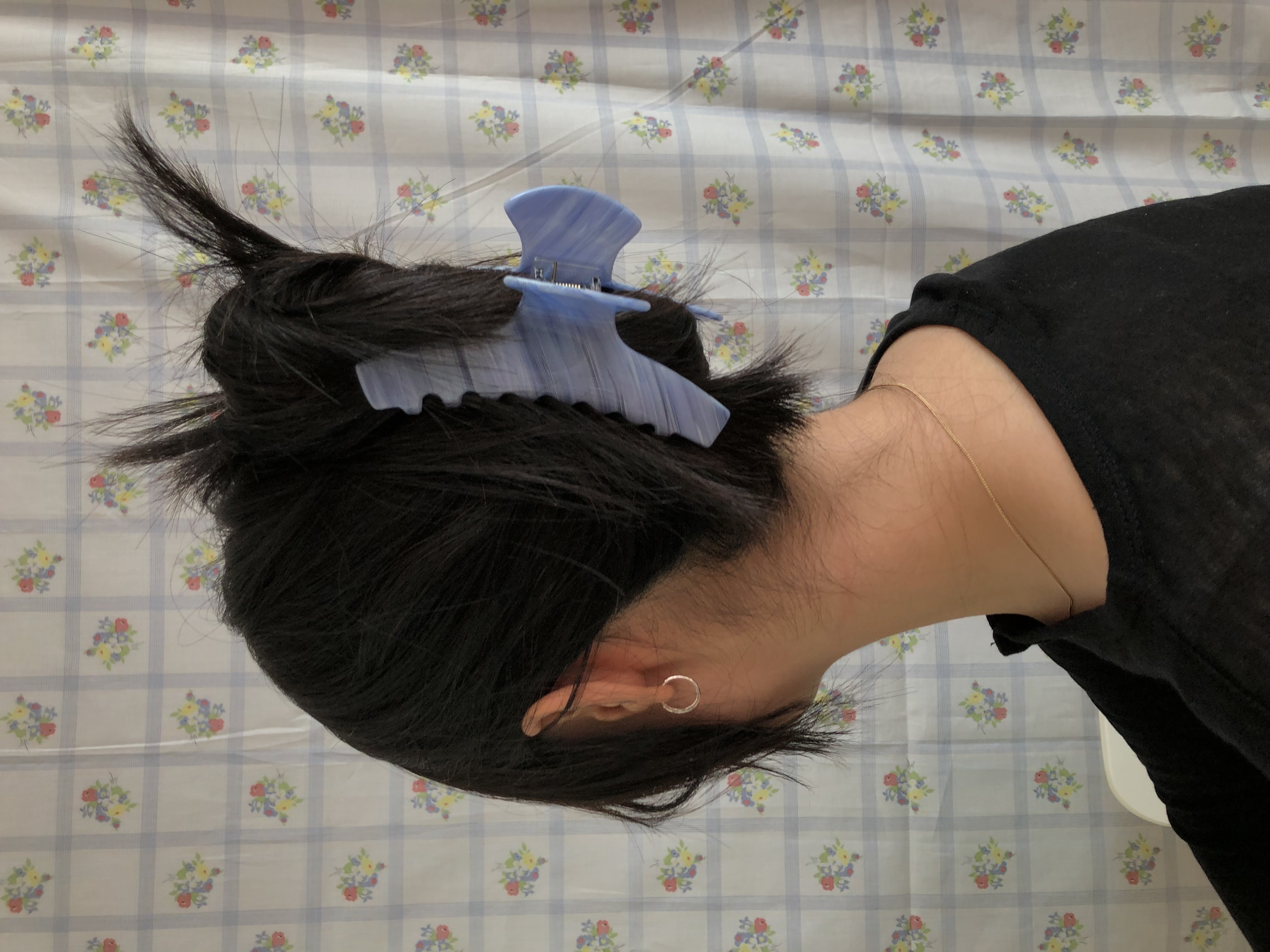 shell hair clip (big size)