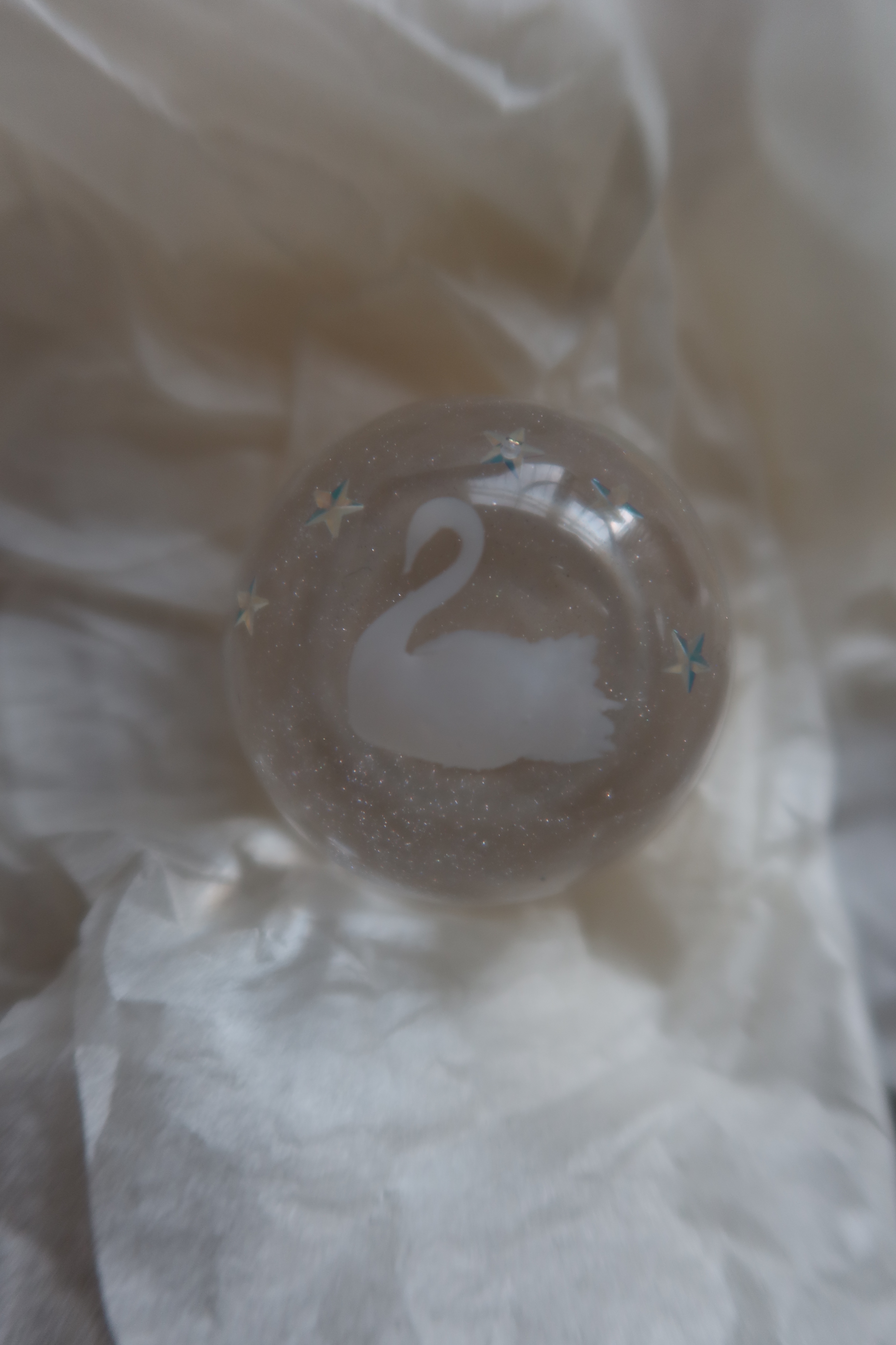 twinkle swan