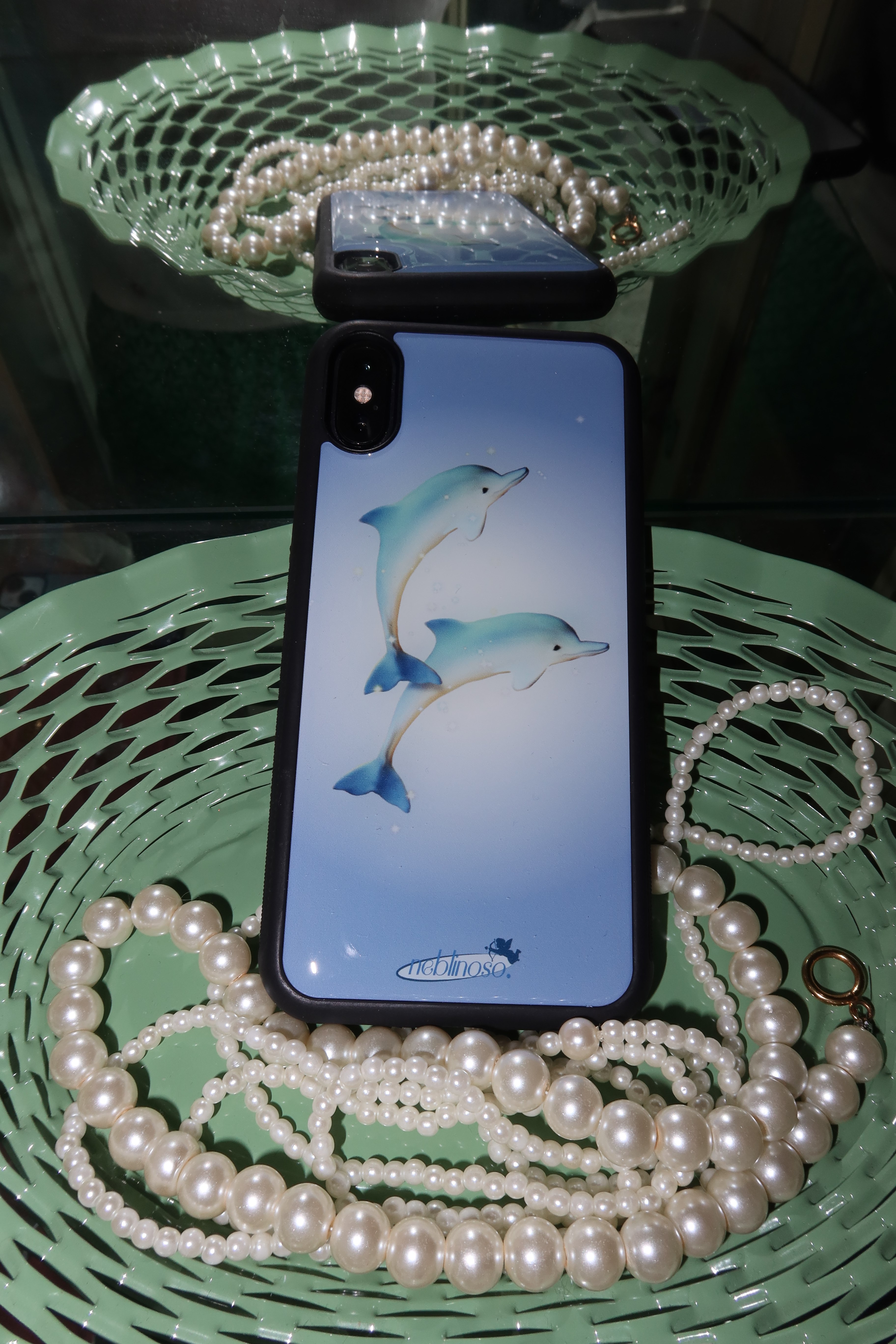 Twin dolphin epoxy case