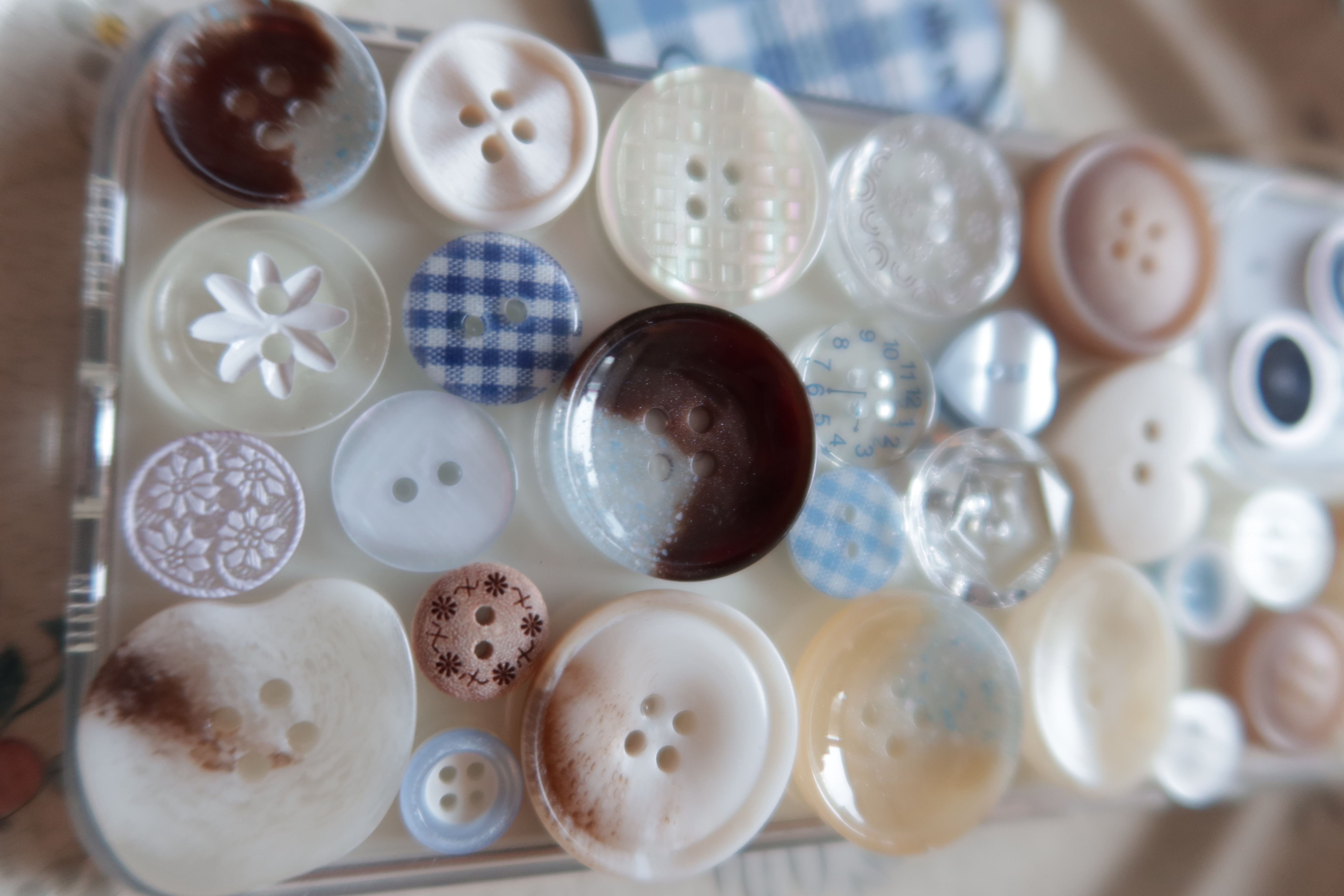 HAUSPOST button case