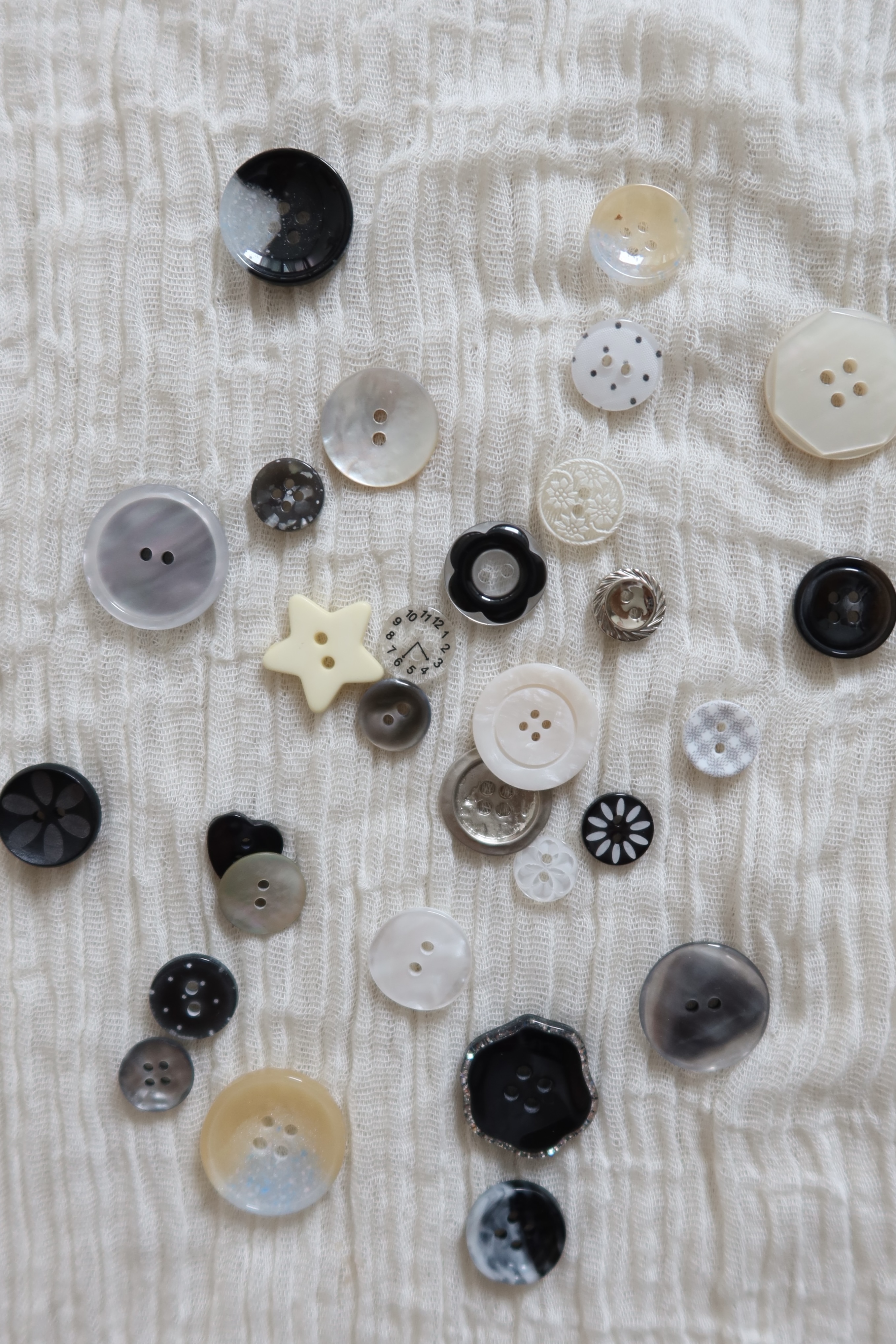 Bee's bizz Button case