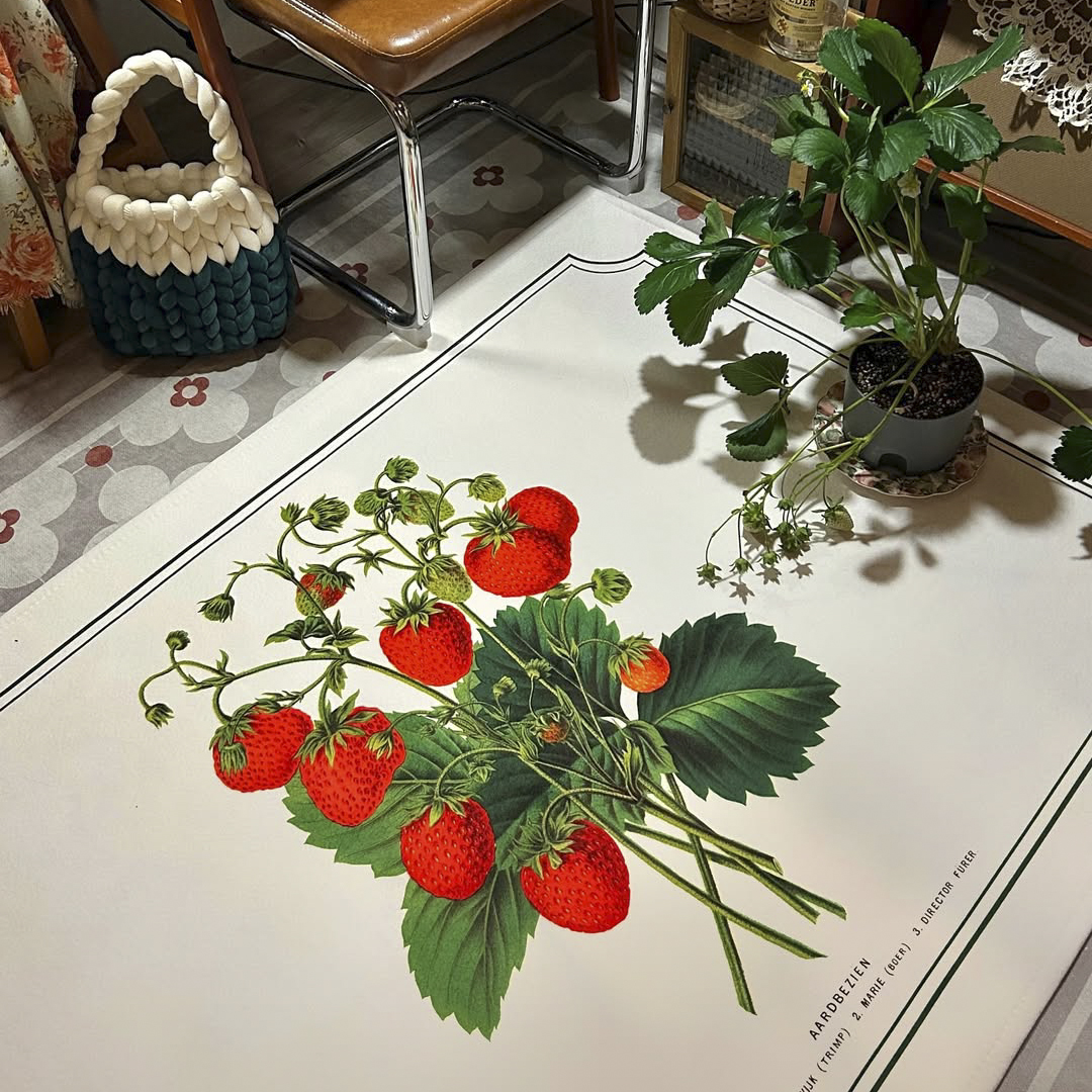 Strawberry Bouquet 딸기 부케 극세사 러그