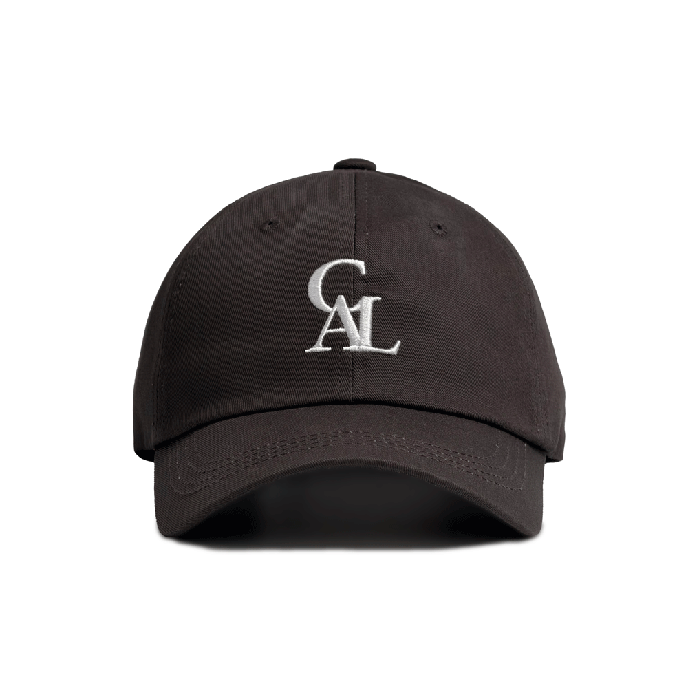 Signature logo ball cap - charcoal