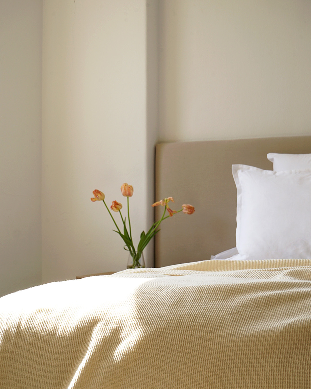 Bed Blanket