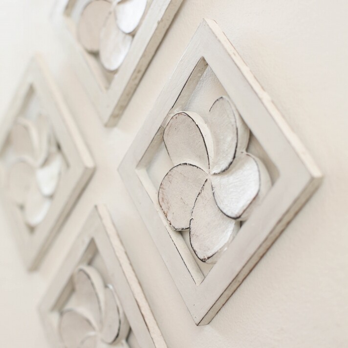 Plumeria frame