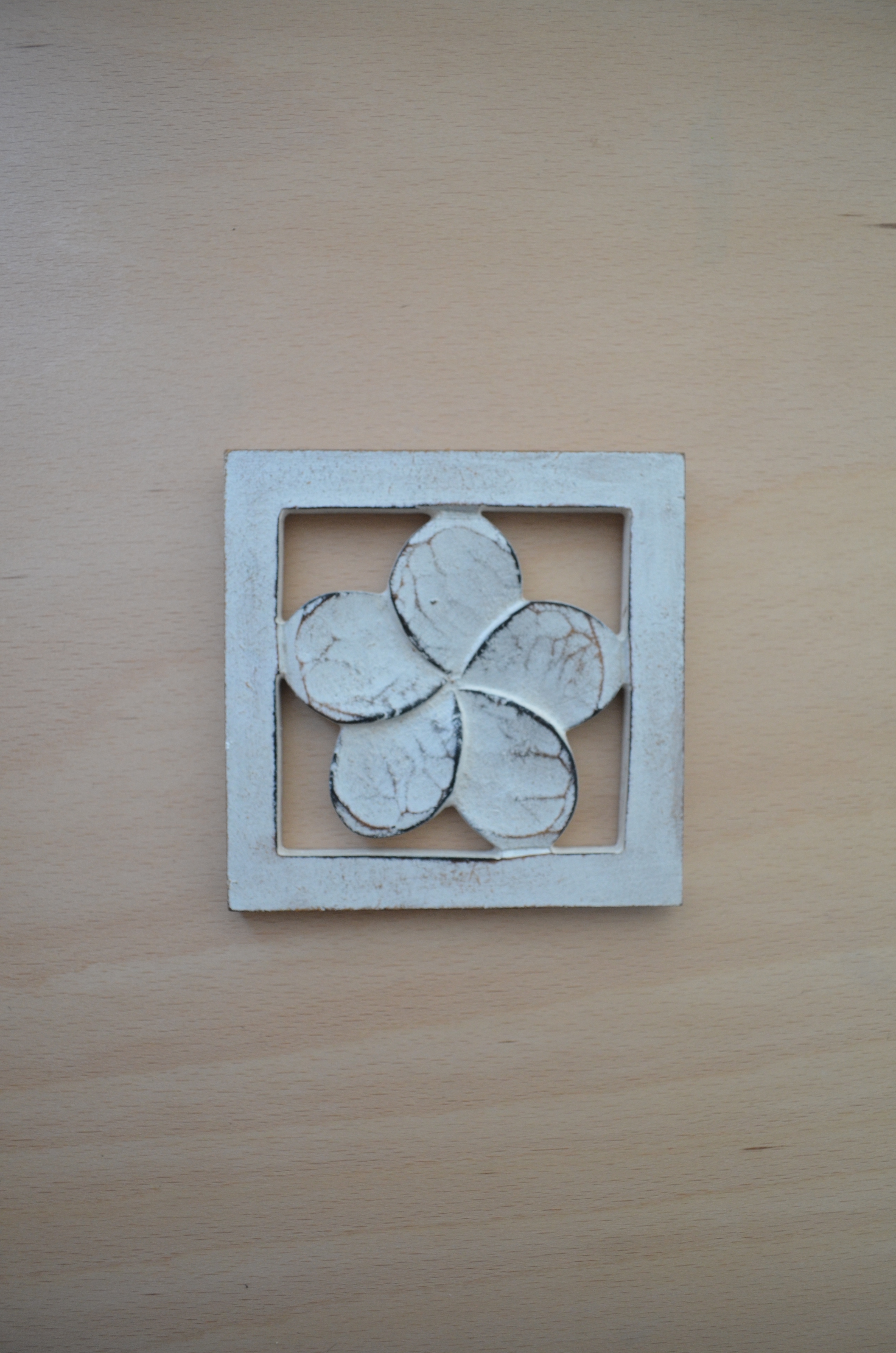 Plumeria frame