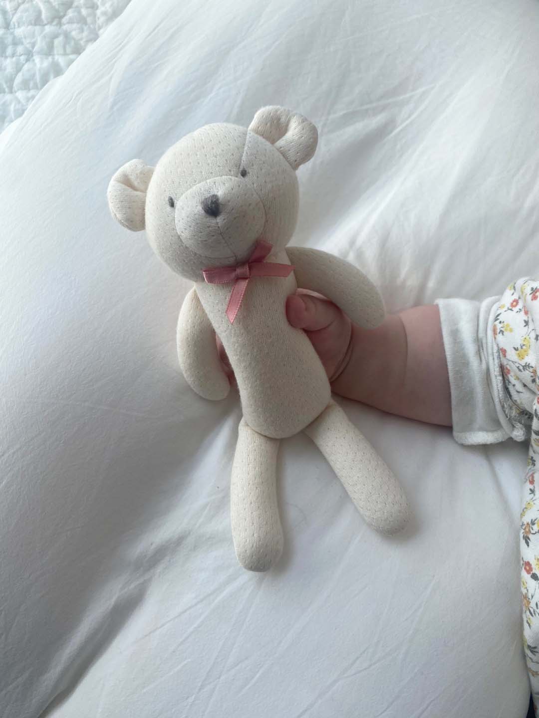Organic Teddy Bear