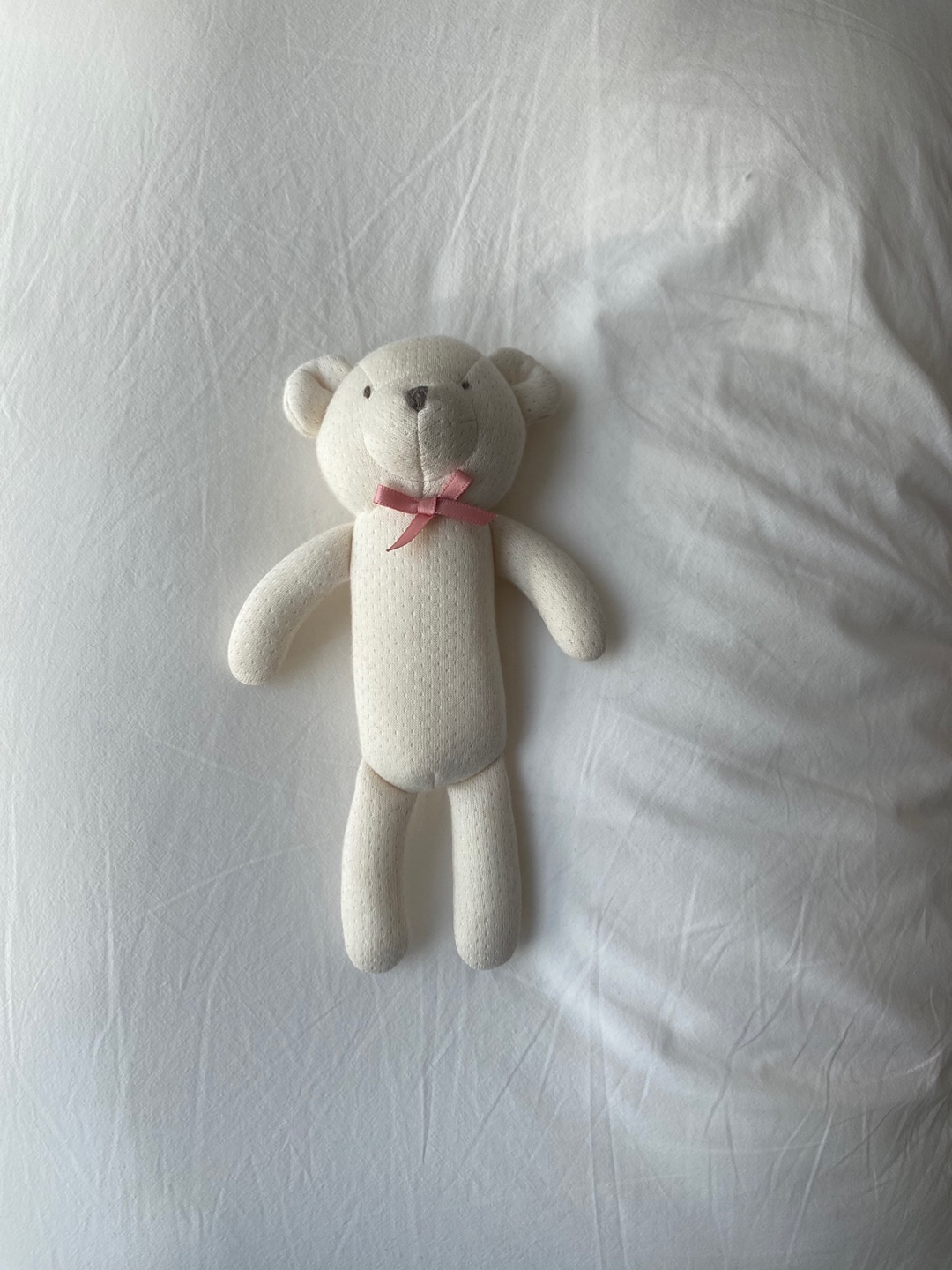 Organic Teddy Bear