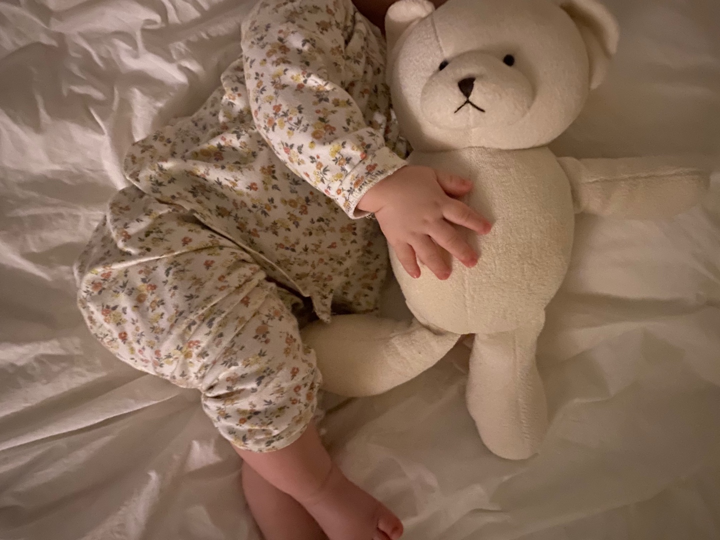 Organic Winnie Bear