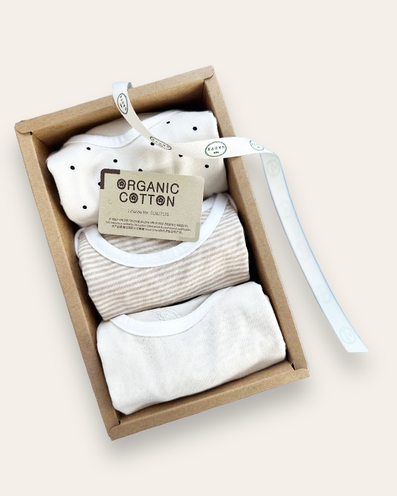 Newborn Bodysuit Gift
