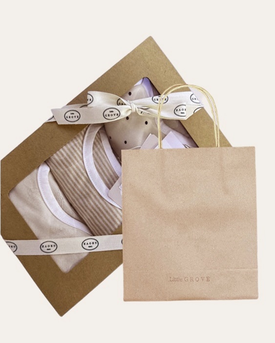 Newborn Bodysuit Gift