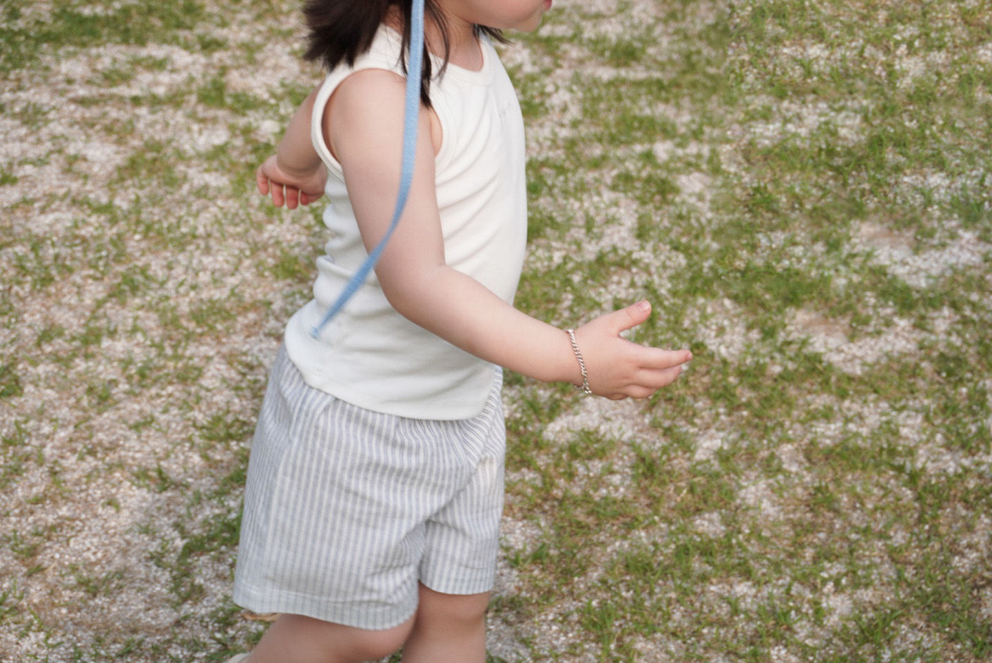 The striped shorts - Blue