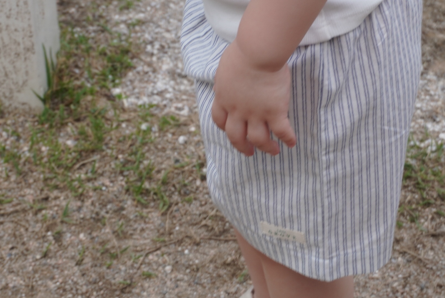 The striped shorts - Blue