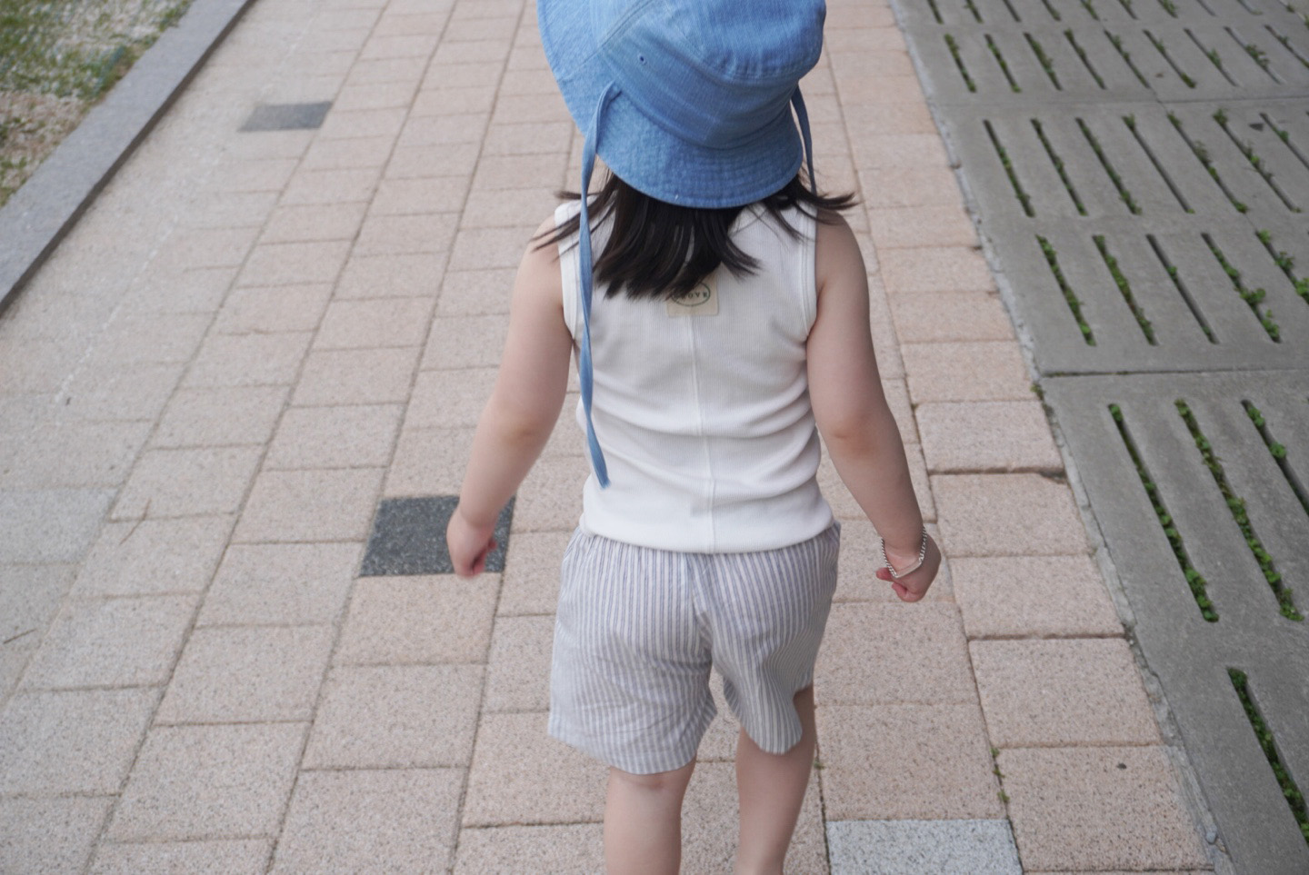 The striped shorts - Blue