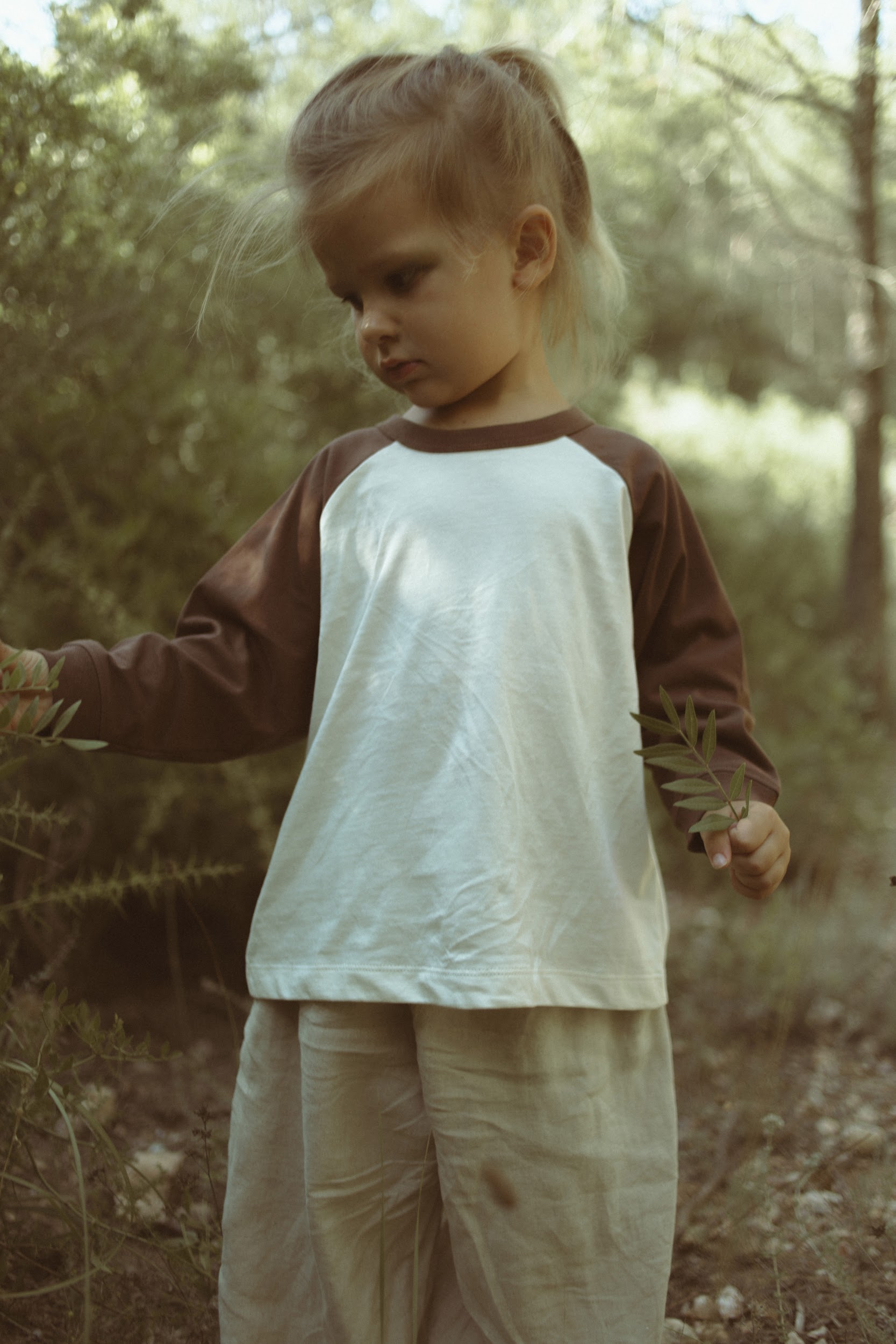 Grove Raglan Tee - Chestnut