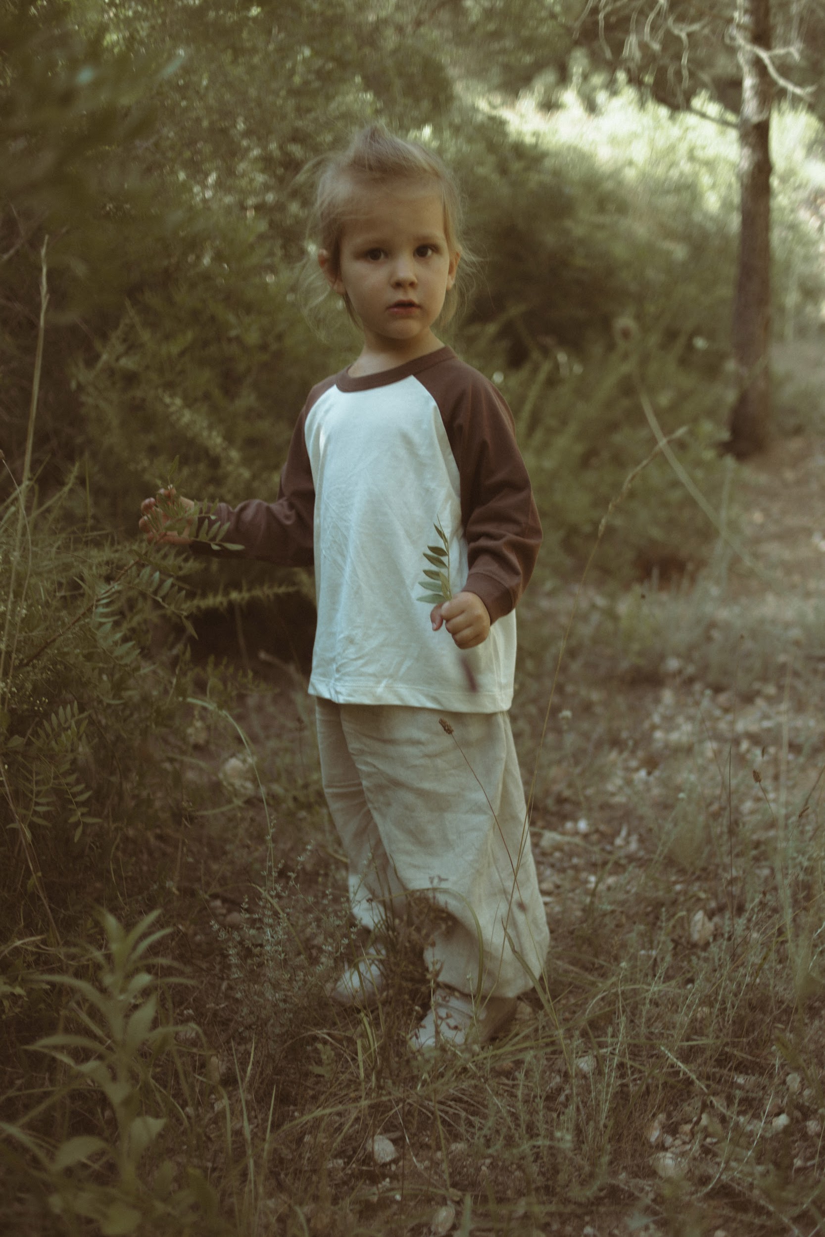 Grove Raglan Tee - Chestnut