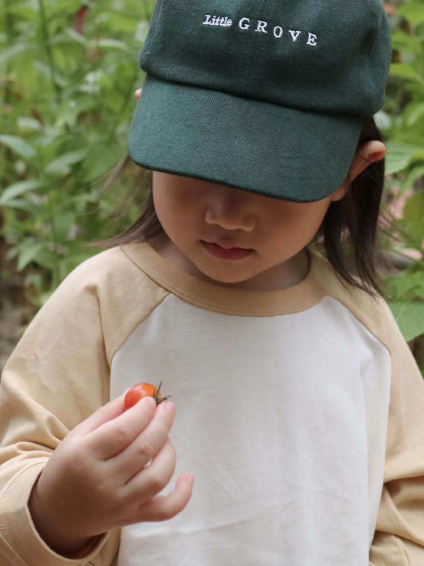 Grove Raglan Tee - Oat