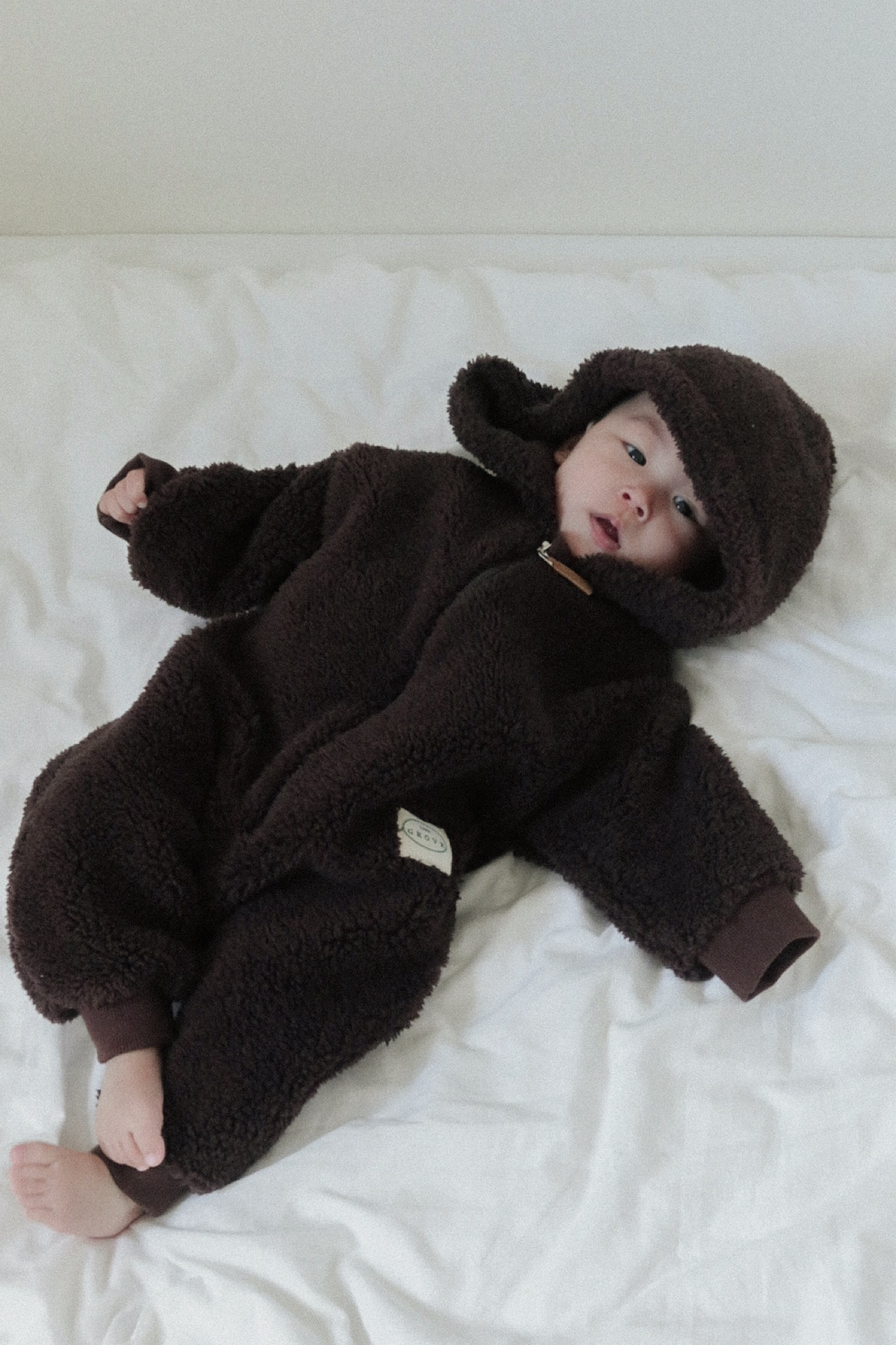 Teddy dumbling suit- Choco Brown