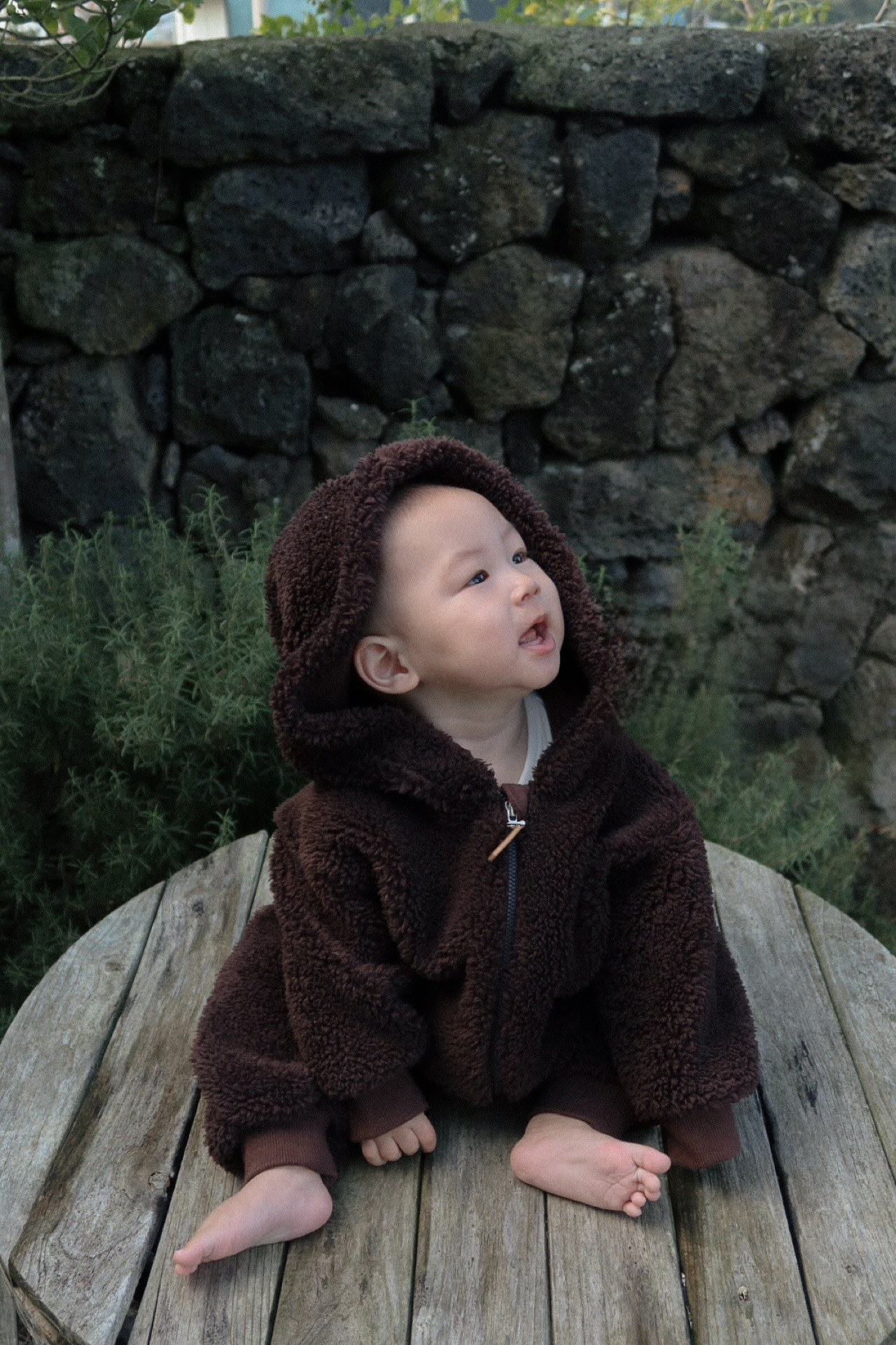 Teddy dumbling suit- Choco Brown