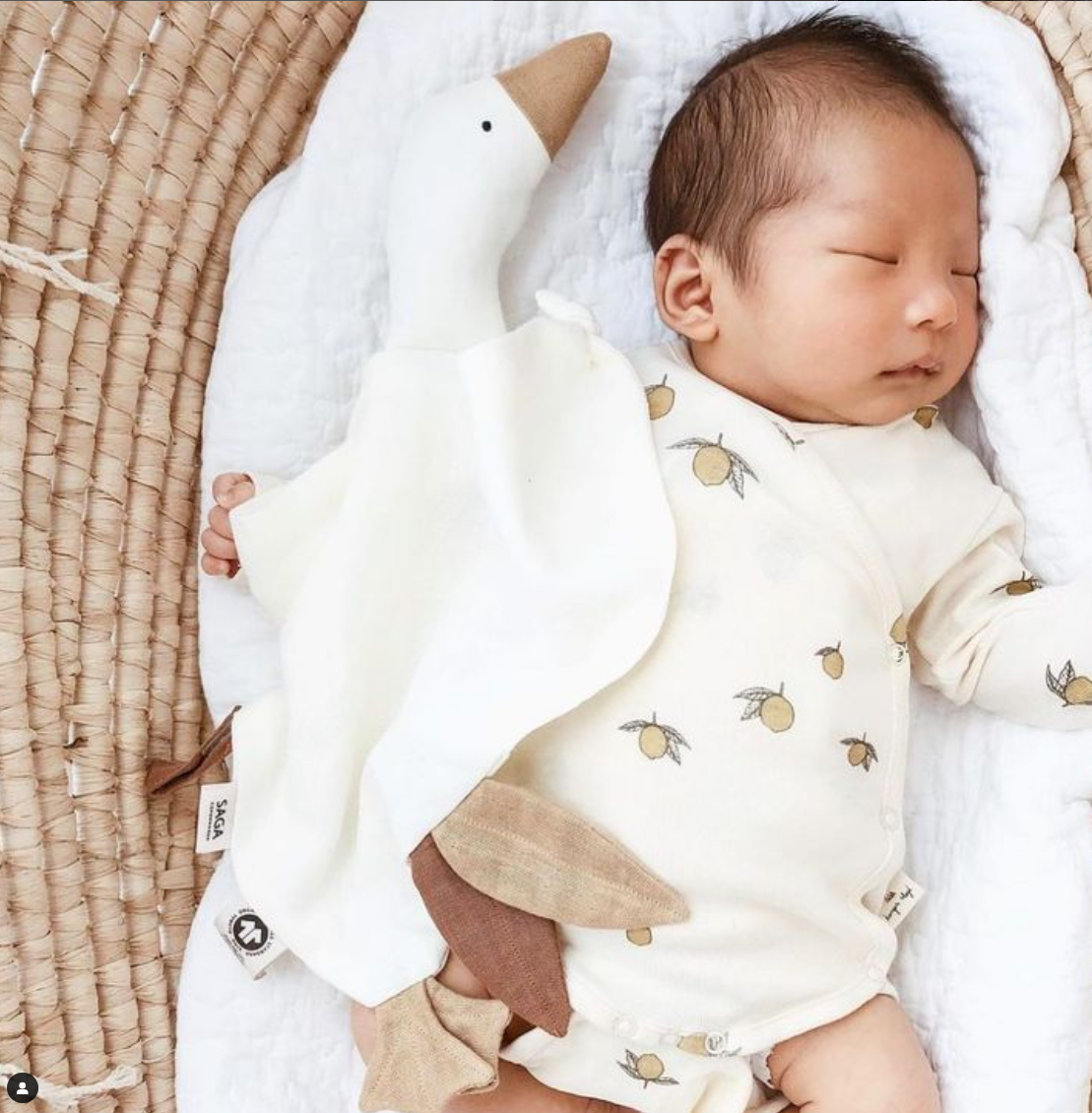 Goose Cuddle Cloth