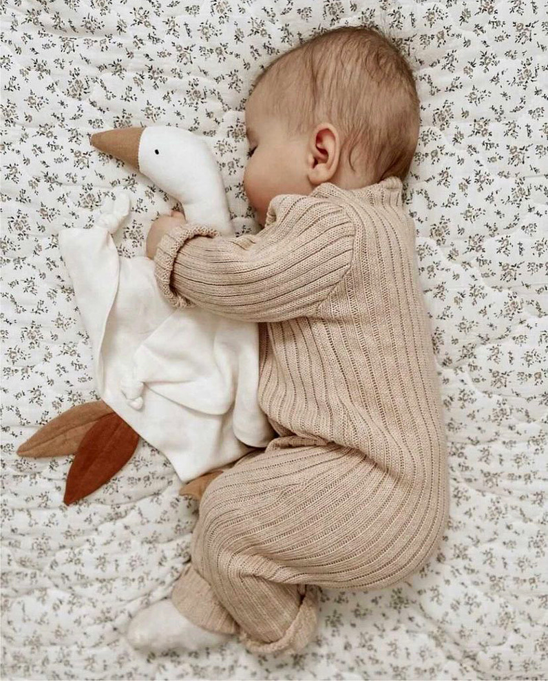Goose Cuddle Cloth