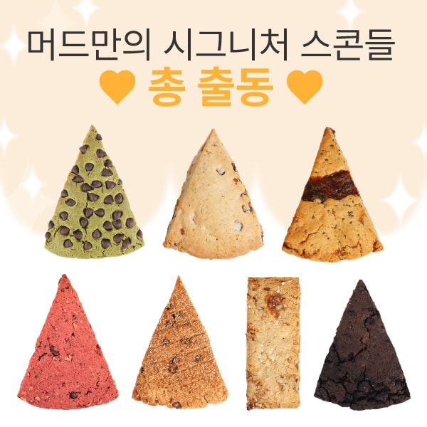 [할인]머드스콘 시그니처세트