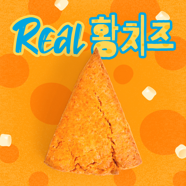 리얼황치즈스콘