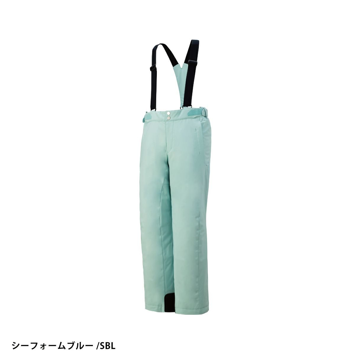 2324 DESCENTELAXING INSULATED PANTS : DWMWJD74
