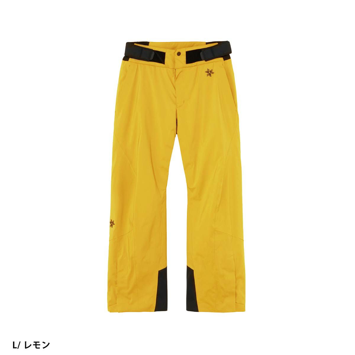 2425 GOLDWIN G-Engineered Regular Pants : G34353R