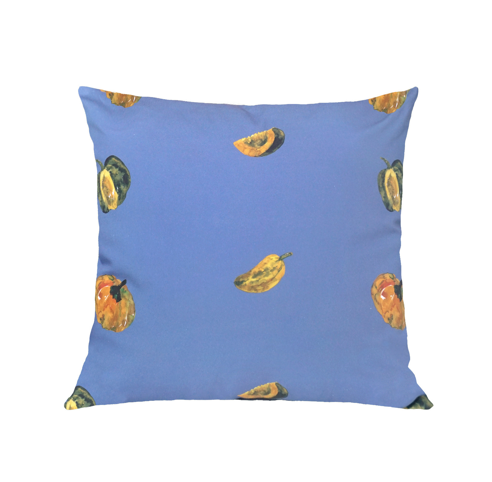 pumpkin cushion cover (50x50)