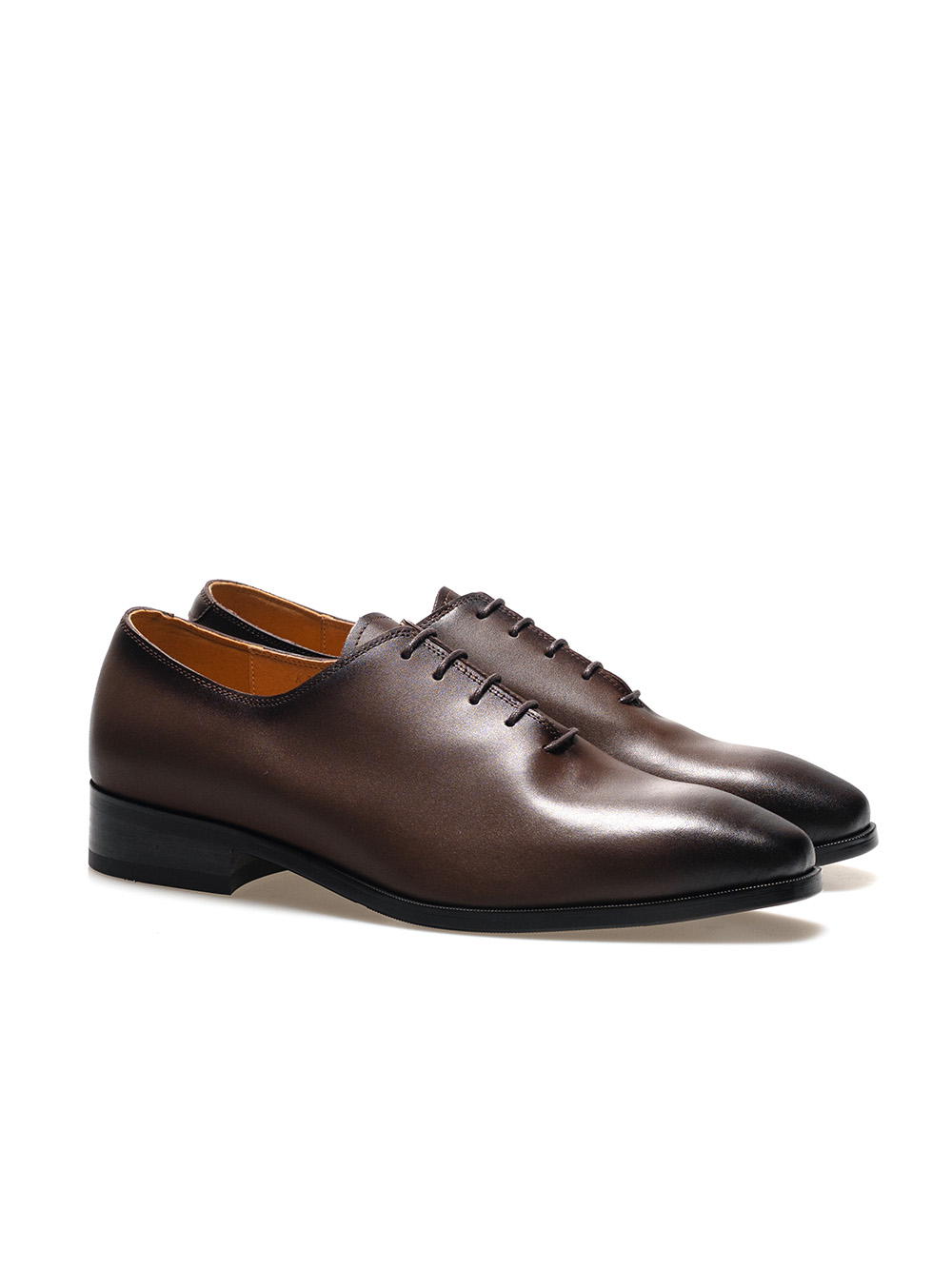 Ardor Oxford #1002 [Dark brown]