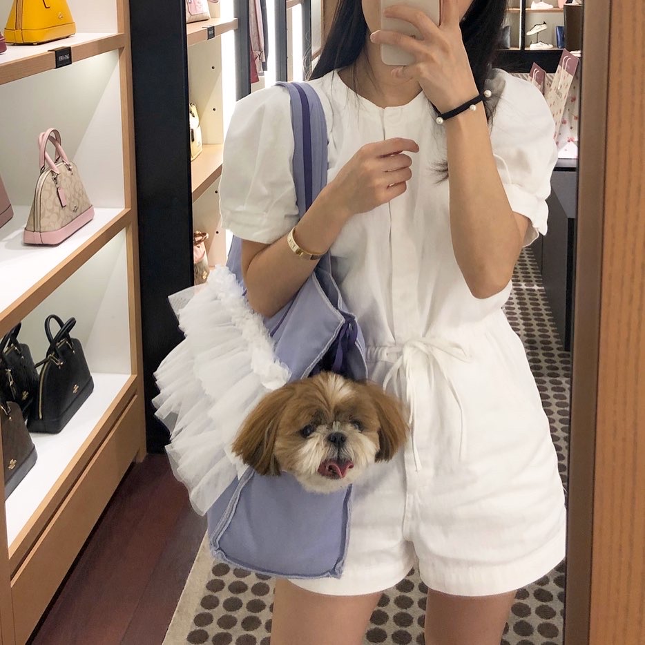 애플백 보라